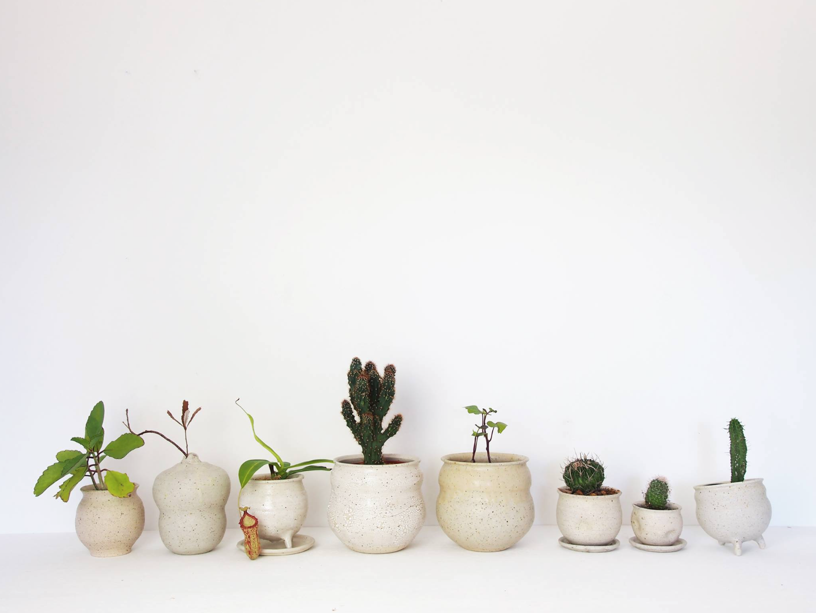 ADC Makers Market - Sydney, NSW, Australia - Feature Event - The Local Project