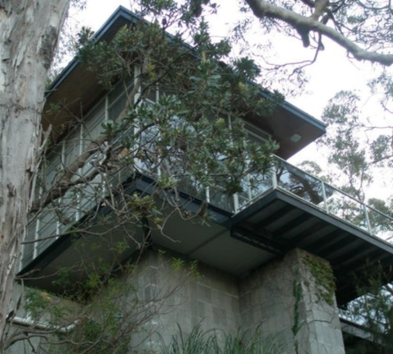Middle Cove Walking Tour - Sydney, NSW, Australia - Feature Event - The Local Project