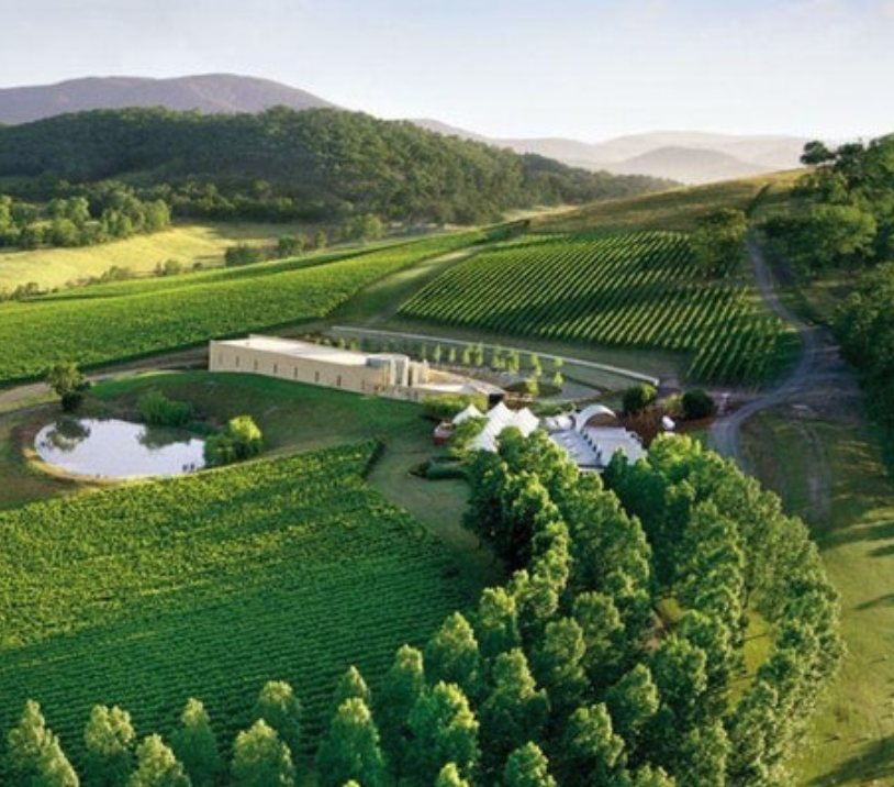 Australian Institute of Architects Foundation Fundraising Dinner - Melbourne, VIC, Australia - Feature Event - The Local Project