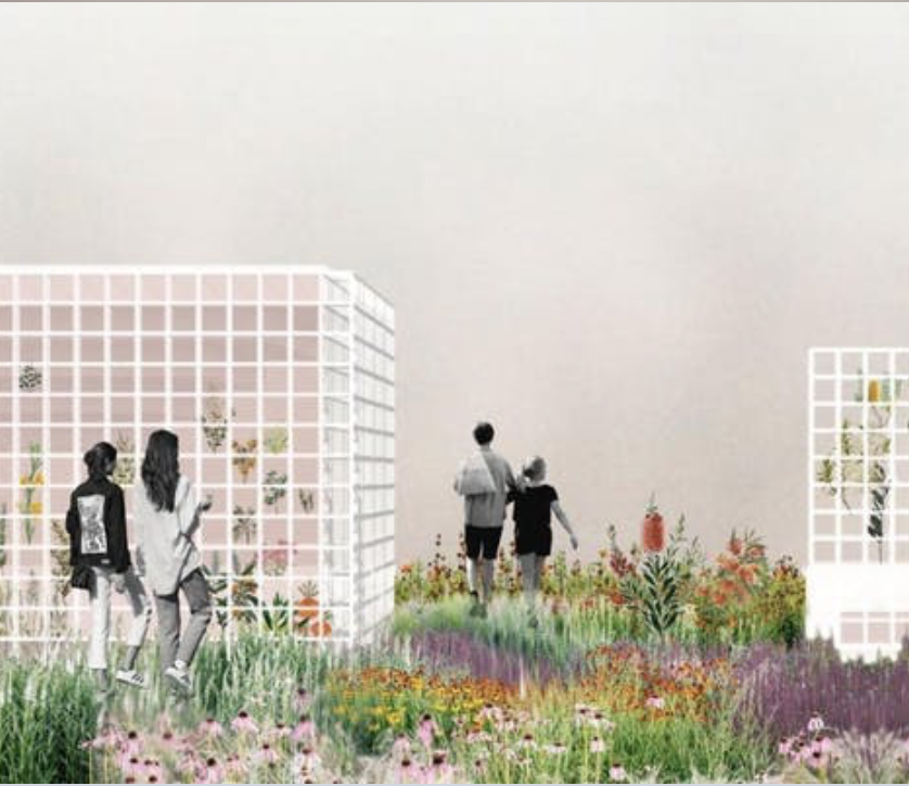 Image: Museum of native ecology by Eleanor Peres