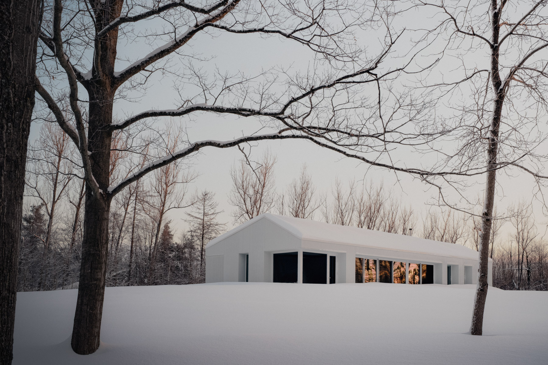 Timbertop House By Akb Architects The Local Project Image (1)