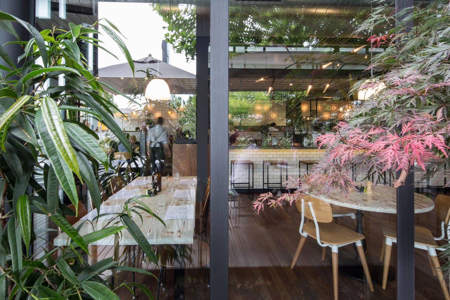 Top Paddock - Feature Article by Stana Krndija - 6 Degrrees Architecture - The Local Proejct Image 3