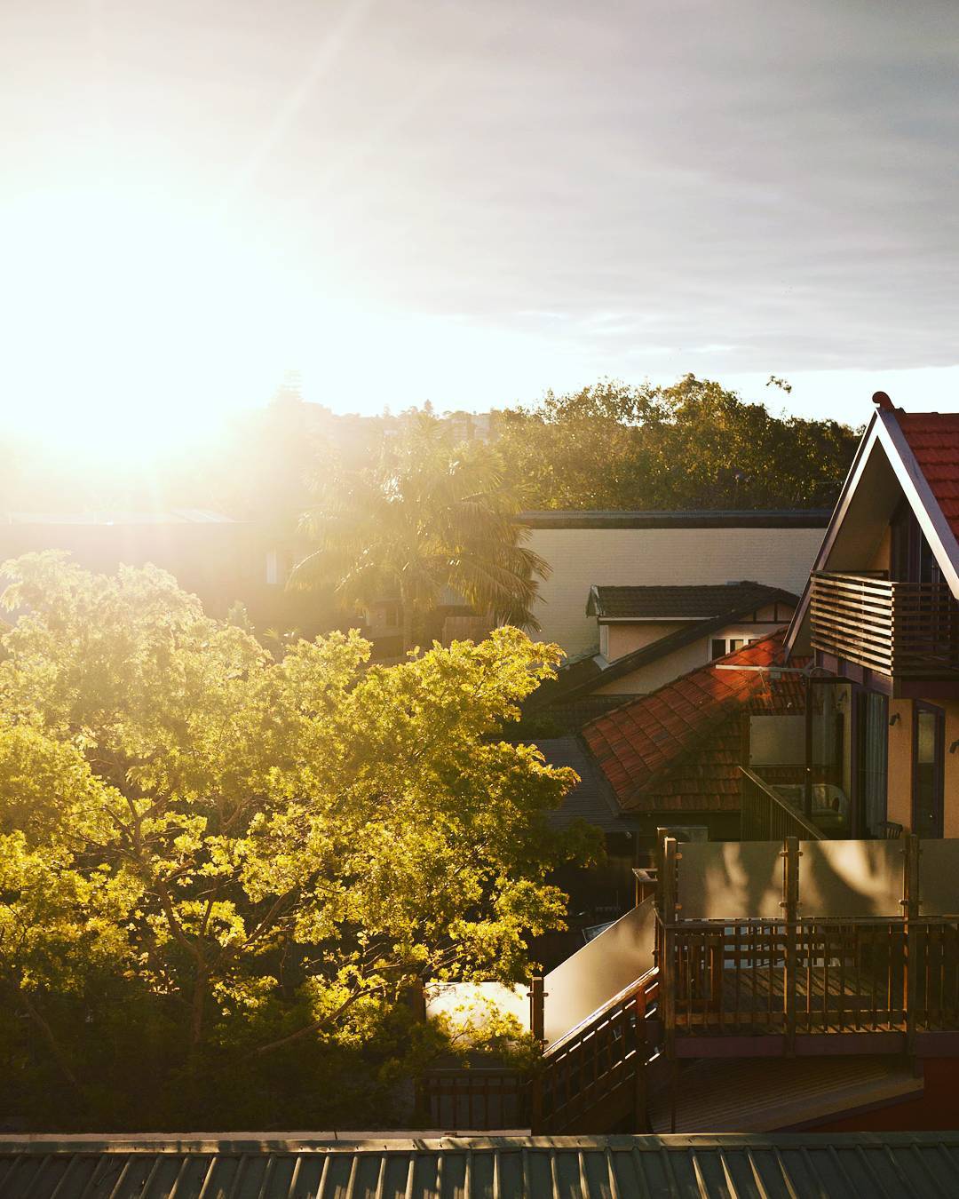 jess Eddy - Feature Article Interview - The Local Project - Ashley Gladwish - Image 9