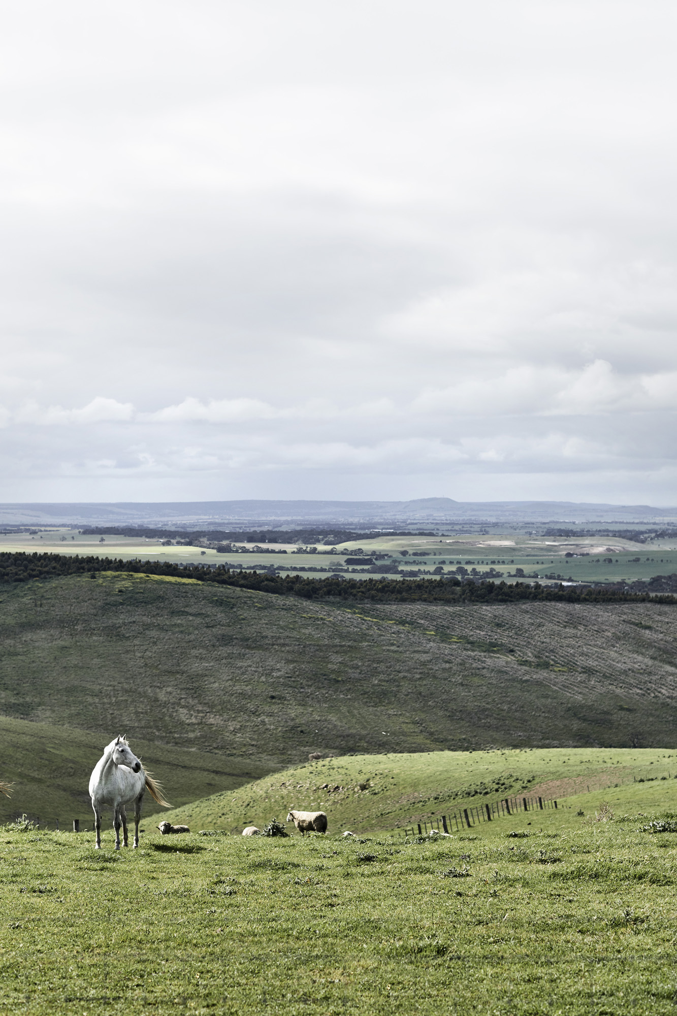 Dan Gayfer Design - MINI Australia - Feature Intervew - Australian Architecture - Ceres House, Victoria - Image 11