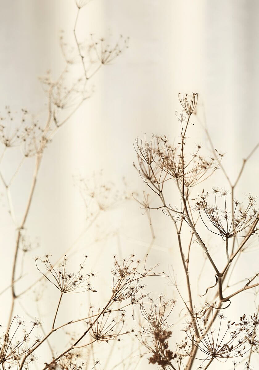 Hip V Hype x Wood Melbourne x Tess Kelly - Shopfront Exhibition - The Local Project - Image 12