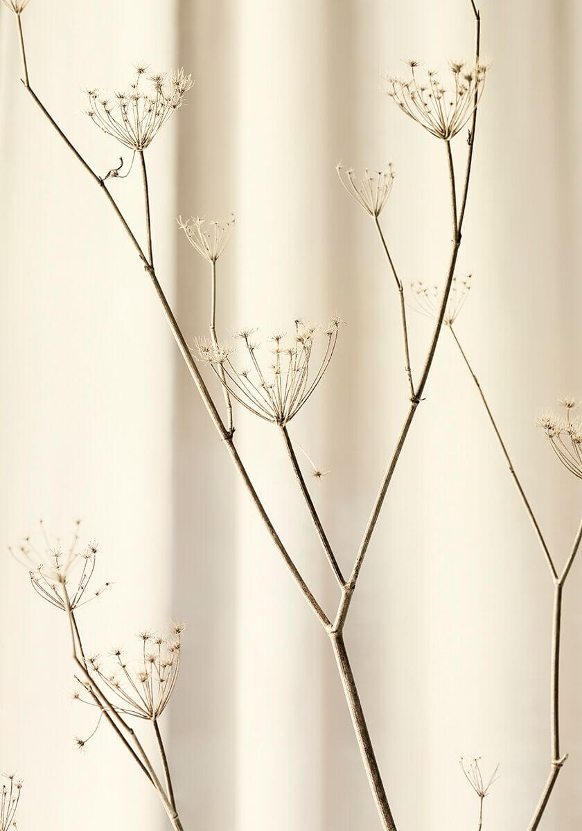 Hip V Hype x Wood Melbourne x Tess Kelly - Shopfront Exhibition - The Local Project - Image 11