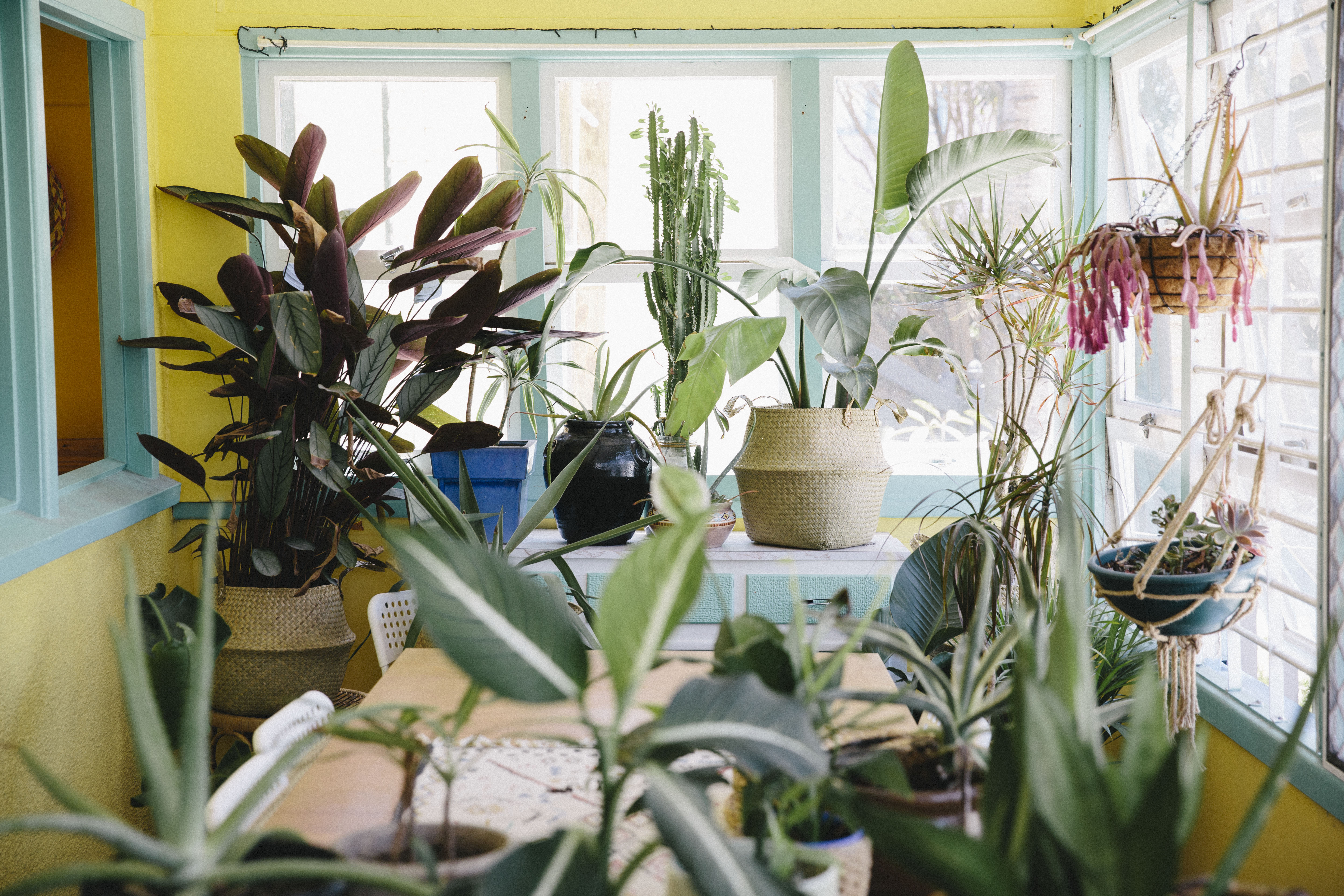 Tess Guinery Feature Intervoew - The Local Project - Unparalleled Series - Australian Design & Architecture