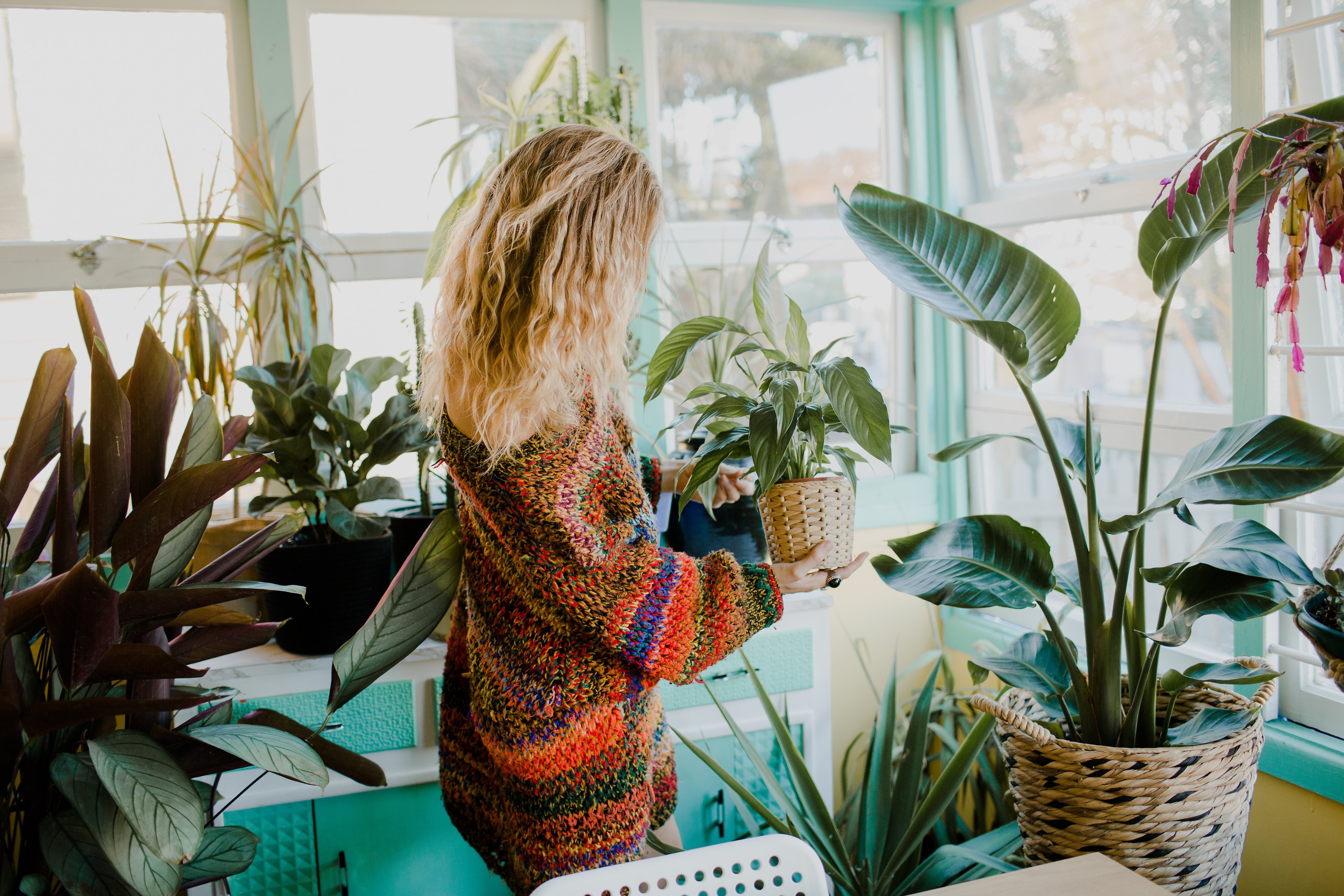 Tess Guinery Feature Intervoew - The Local Project - Unparalleled Series - Australian Design & Architecture