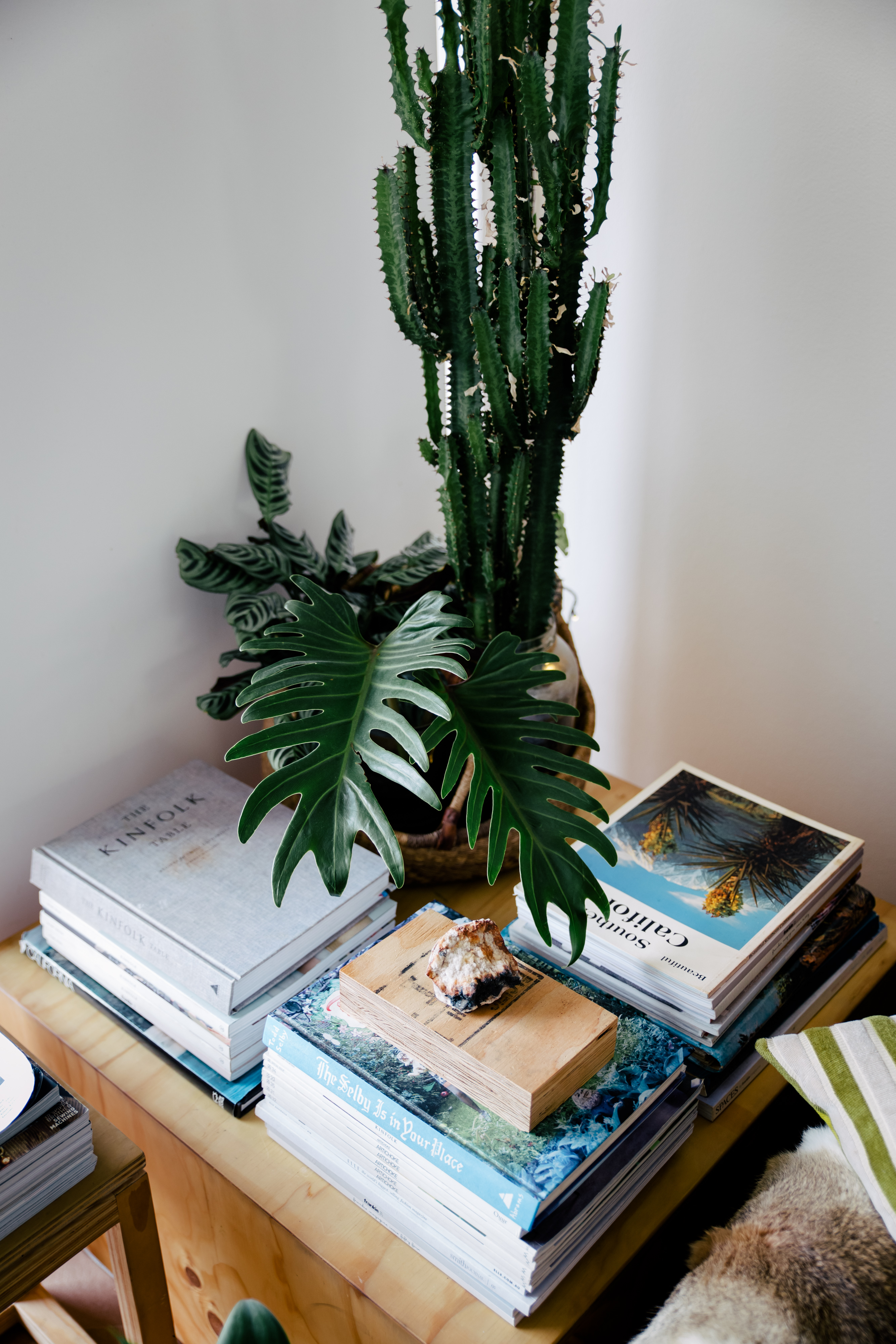 Tess Guinery Feature Intervoew - The Local Project - Unparalleled Series - Australian Design & Architecture