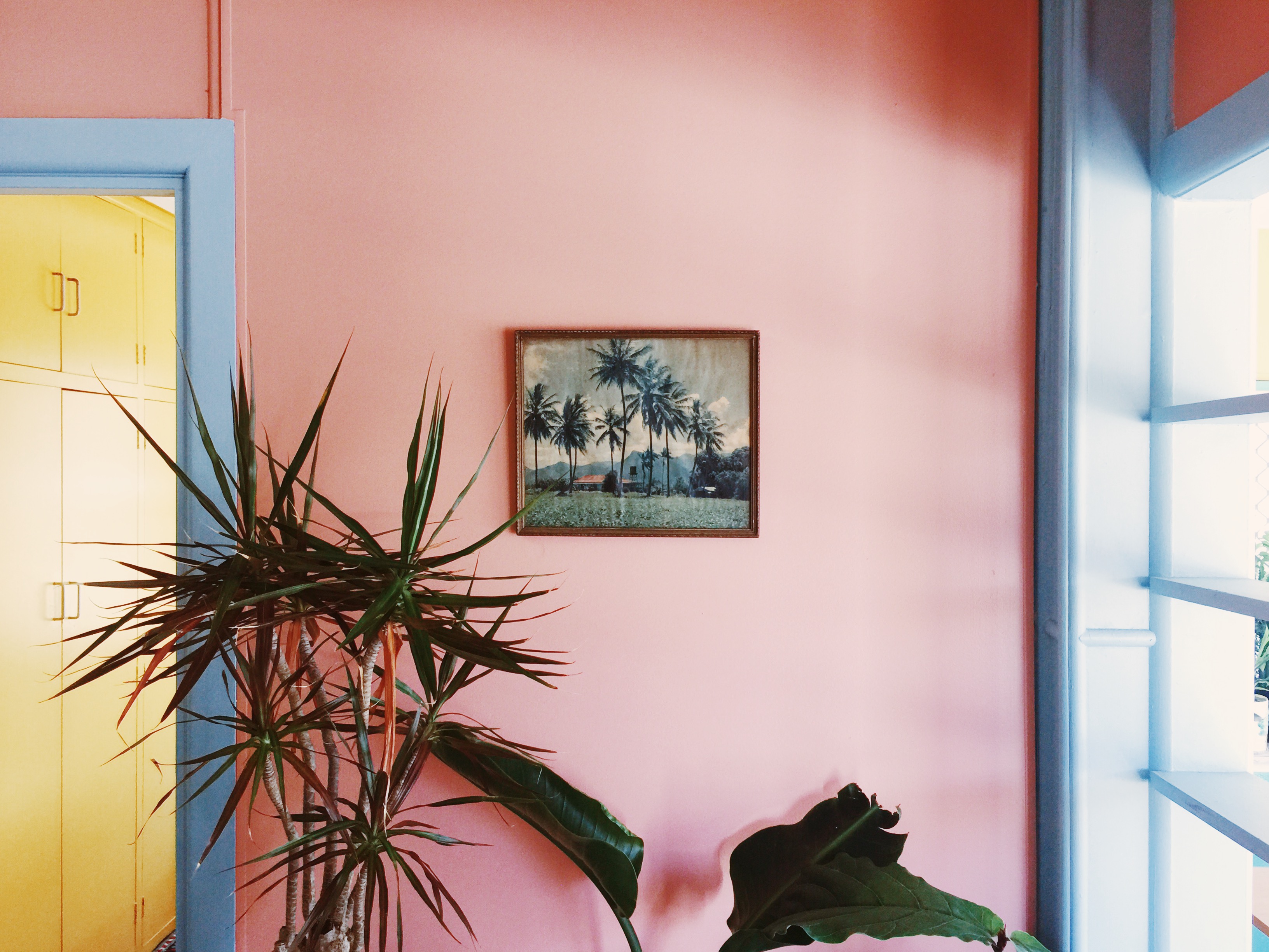 Tess Guinery Feature Intervoew - The Local Project - Unparalleled Series - Australian Design & Architecture