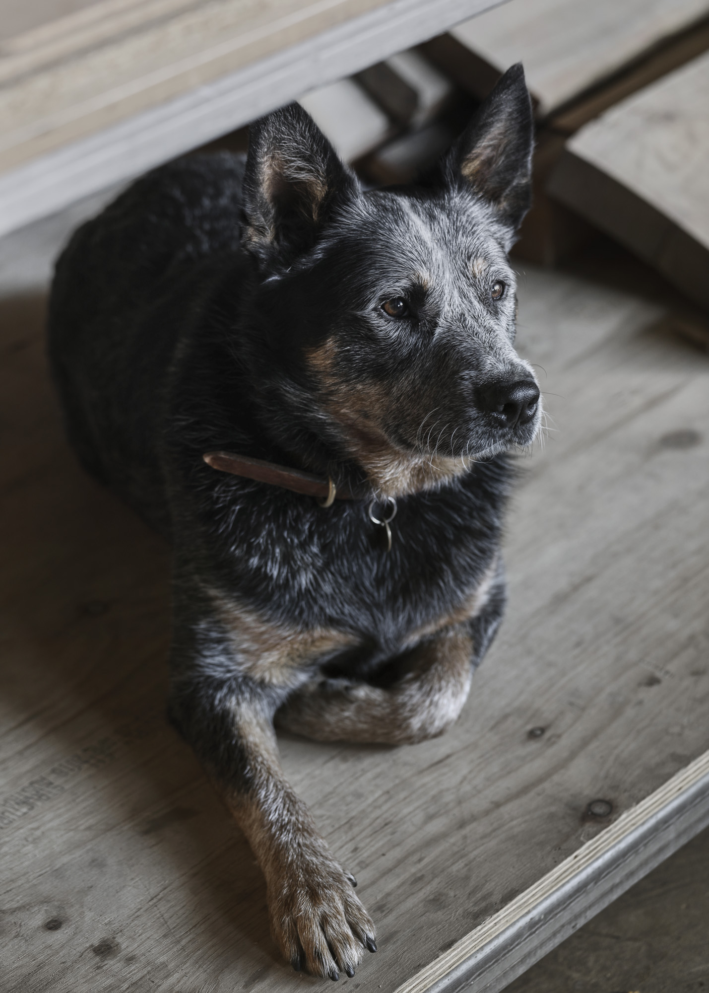 Nick McDonald of Made By Morgen - The Local Project Feature Interview - Australian Local Design