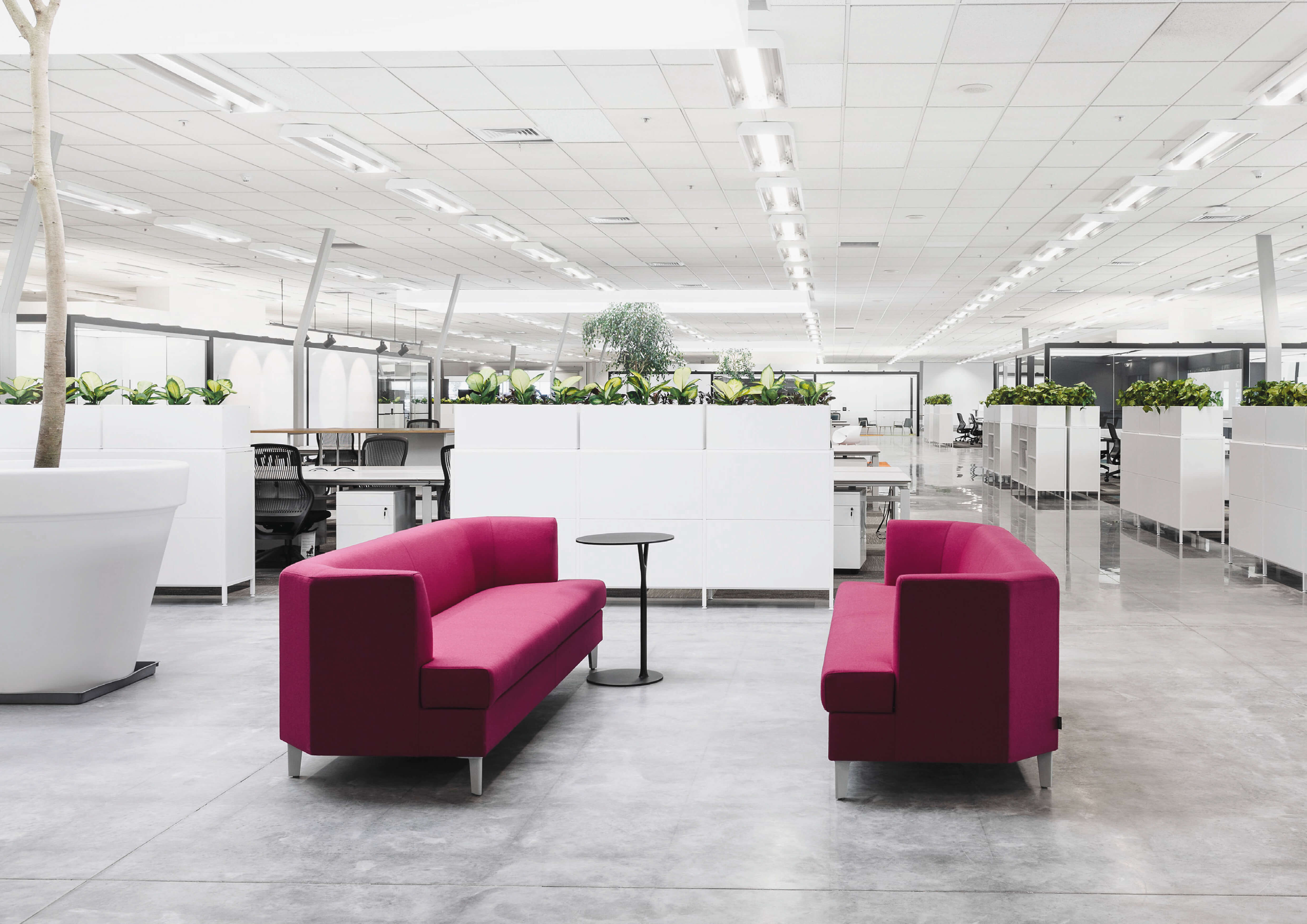 Mark Elmore Feature Interview - The Fisher & Paykel Series - TLP