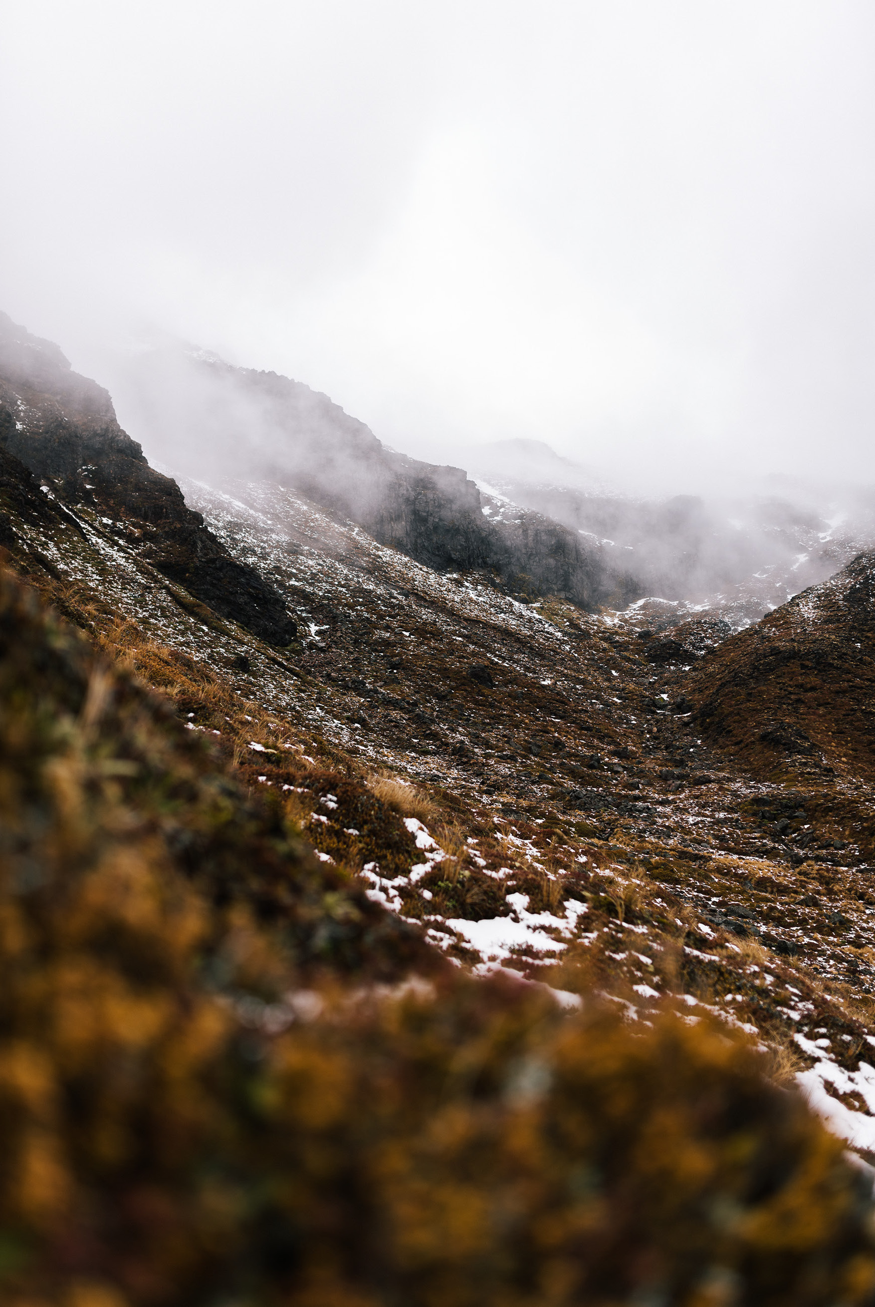 Fp Eurocucina Press Image Web Rgb9