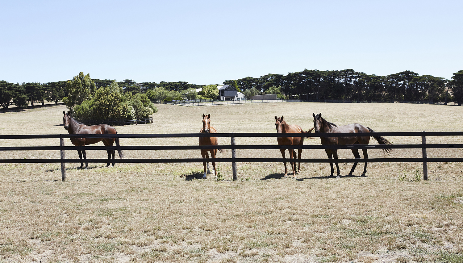 Ceres Gable House - Feature Interview The Local Project Ben Robertson Of Tecturetlp Tecture 001