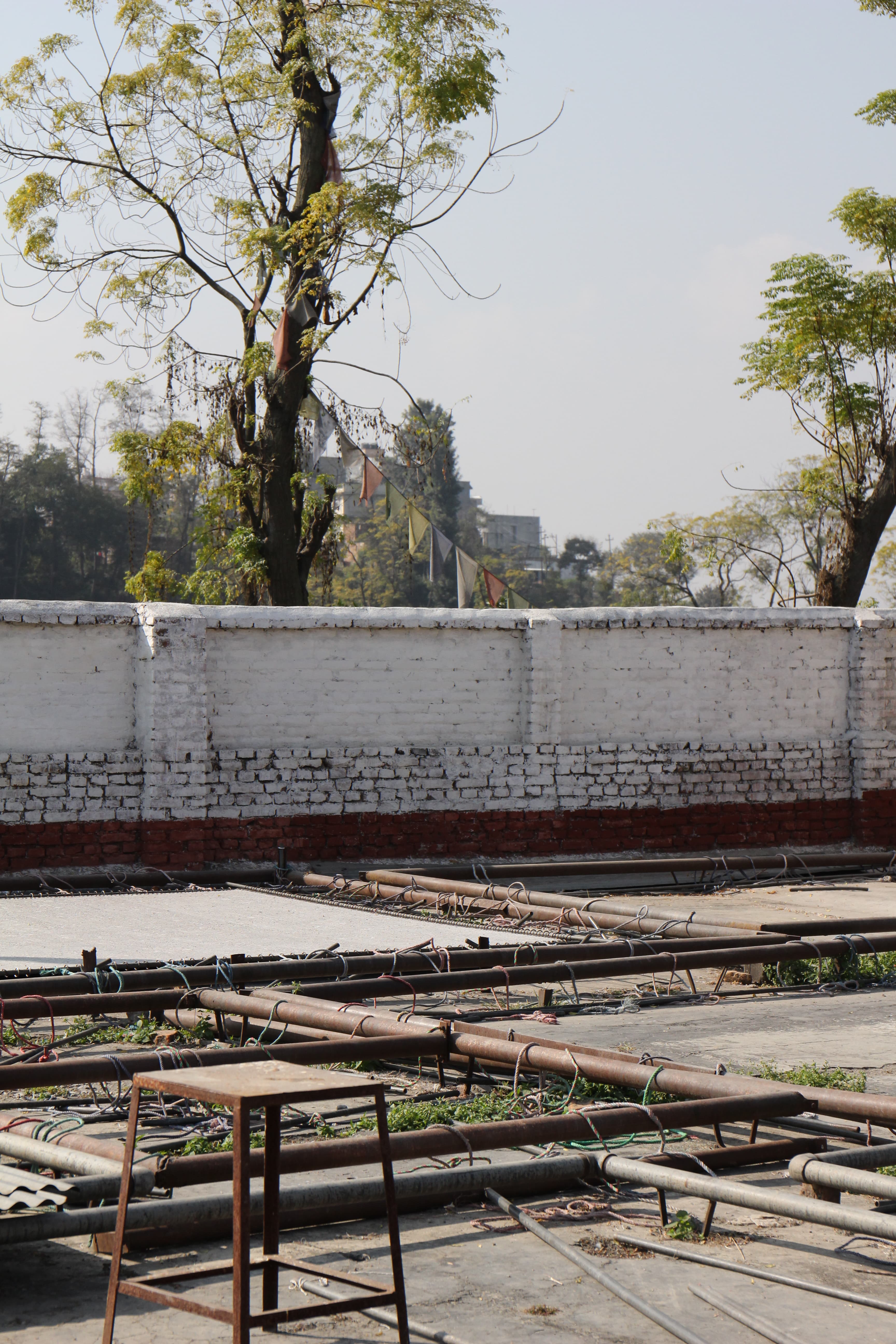 Designer Rugs Launch New Collection In Collaboration With Hare And Klein Collection Feature Australiaimg 6261 Min