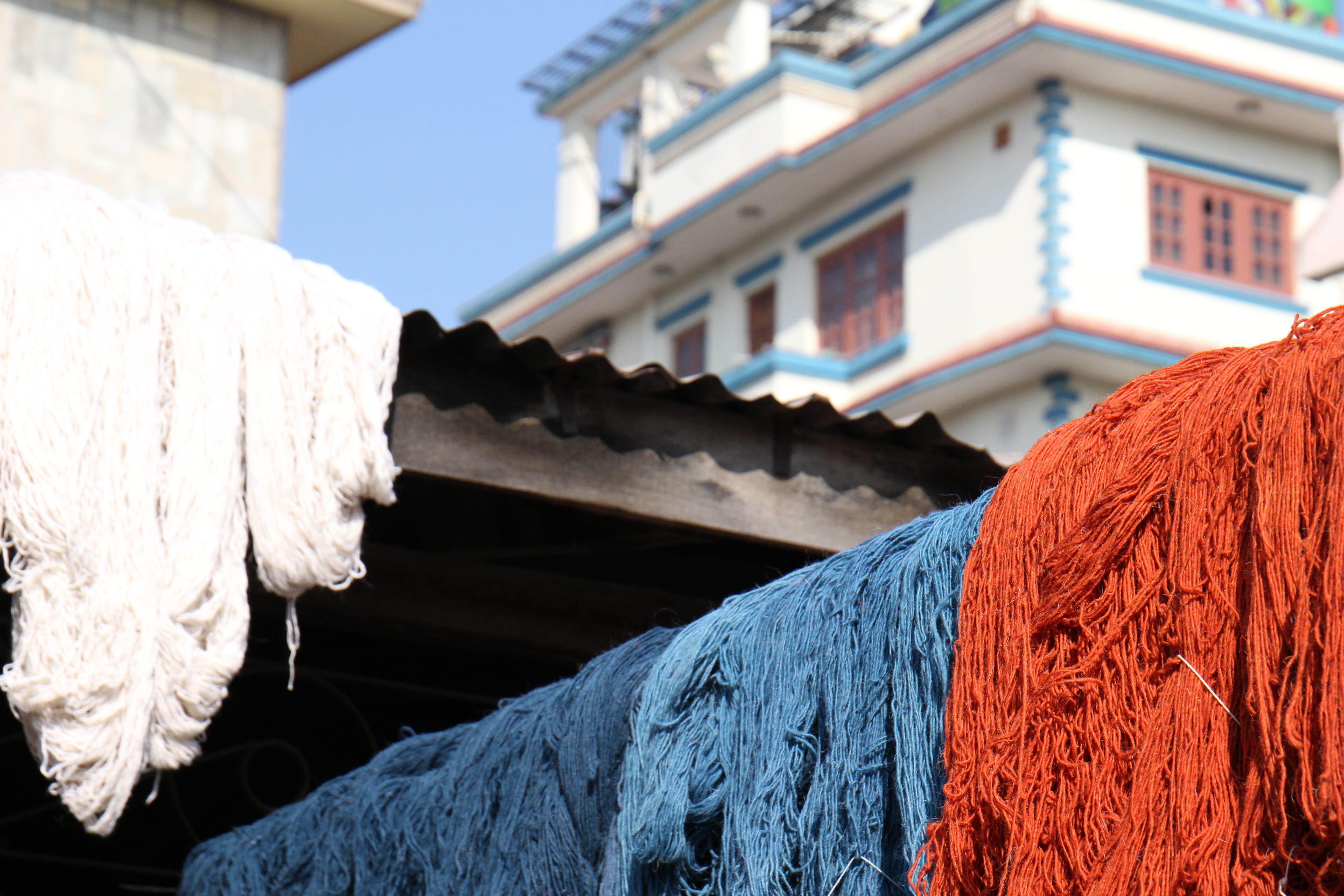 Designer Rugs Launch New Collection In Collaboration With Hare And Klein Collection Feature Australiaimg 5667 Min