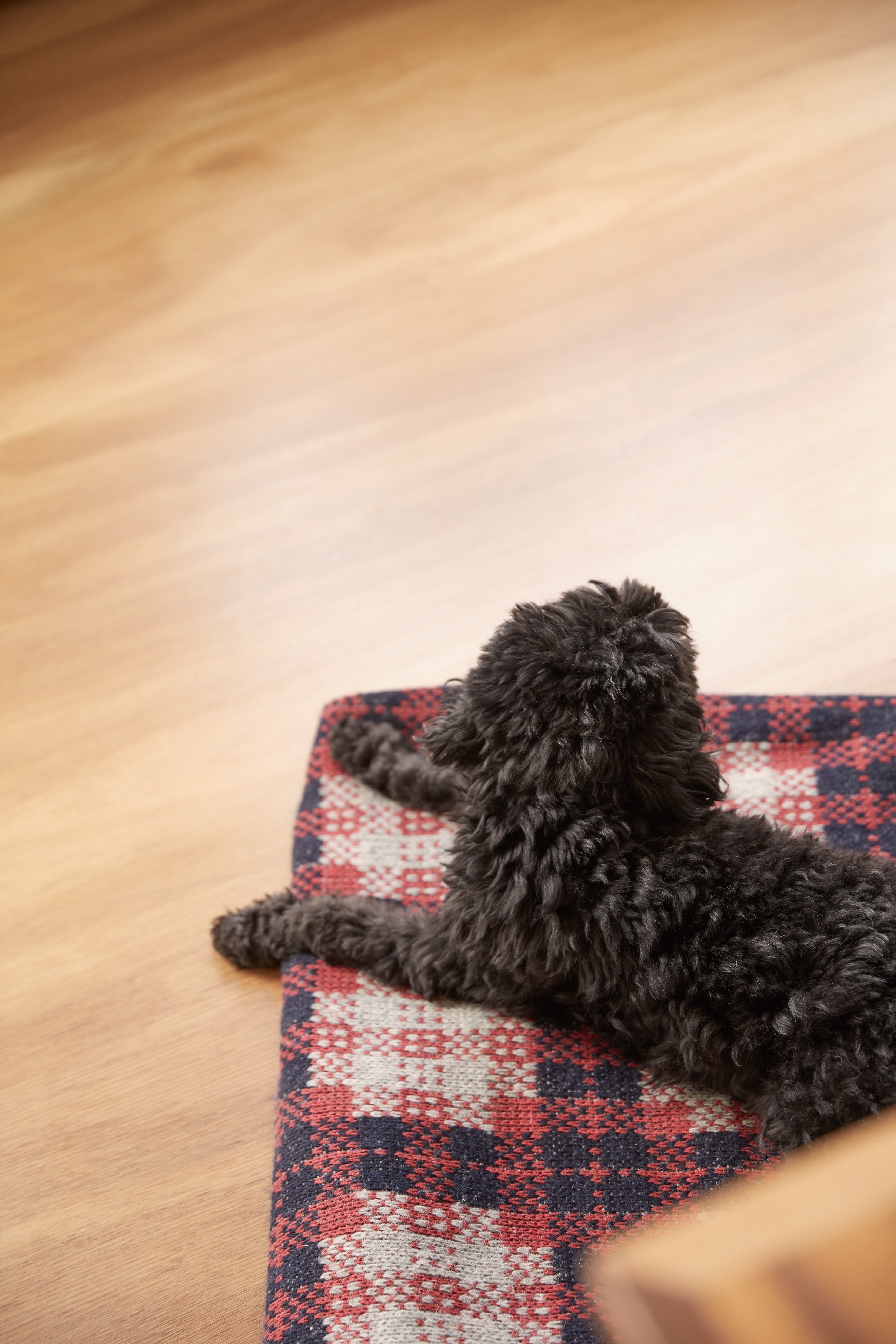 Gallery Of Where The Magic Happens The Local Project Feature Article Image 10