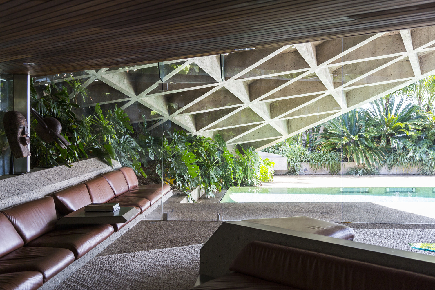 Tom Ferguson Tfad Jac+ Jack The Local Project Feature Interview Giveaway Campaignimage1