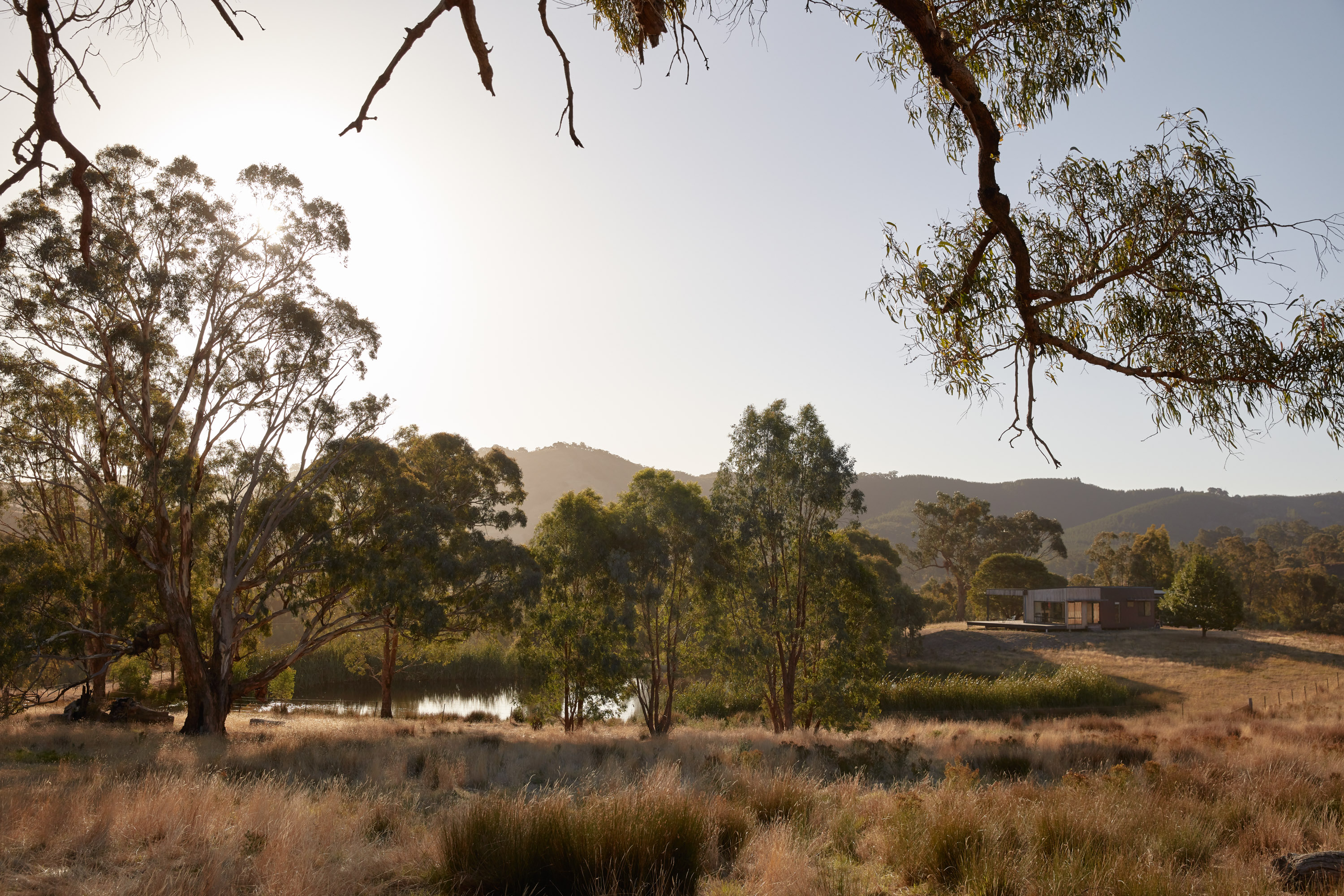 Gallery Of Bonnie Doon Home By Archiblox Local Design And Architecture Bonnie Doon, Vic Image 4