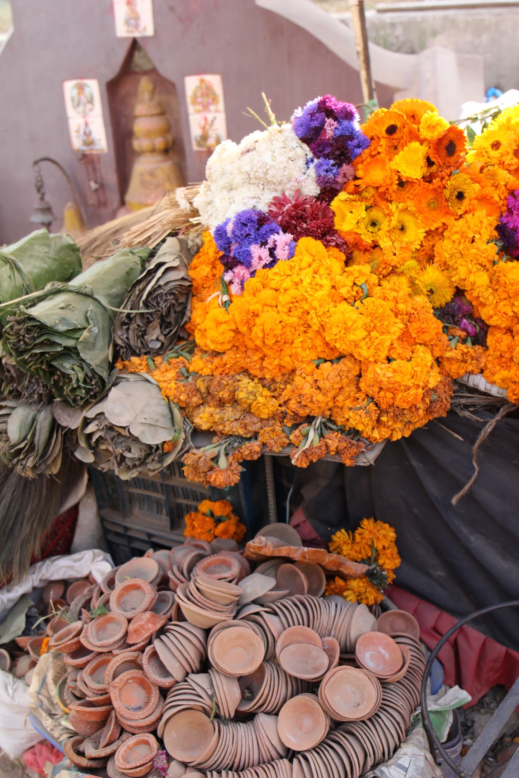 Gallery Of Designer Rugs Local Design And Interios Australia Image 9