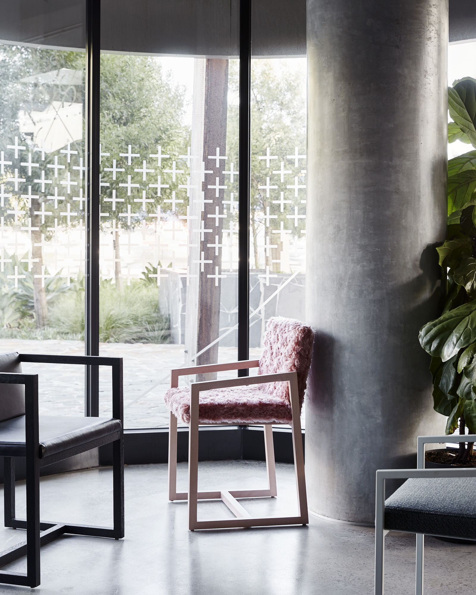 Tlp Henrysgourakis 03