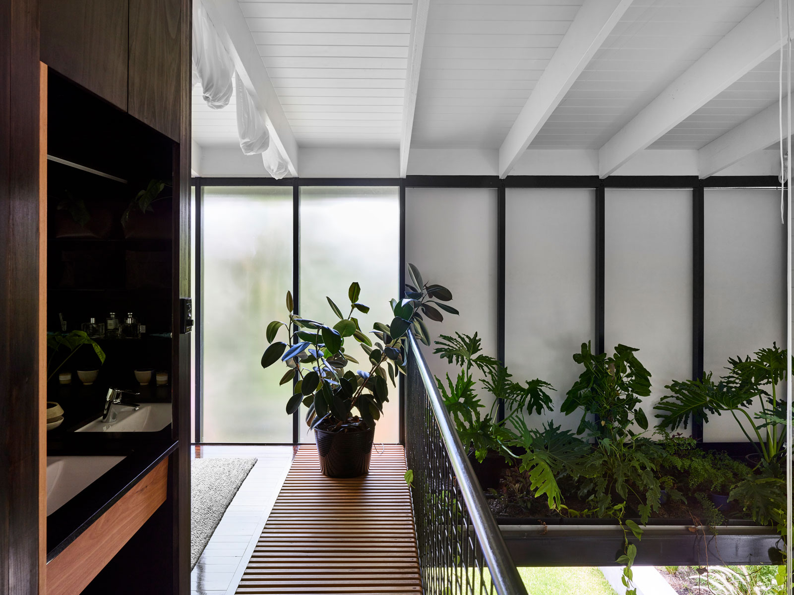 John Ellway's Terrarium House The Local Project And Fisher & Paykel Brisbane, Qld, Australiaje Terrariumhouse Cf057953 Tobyscott