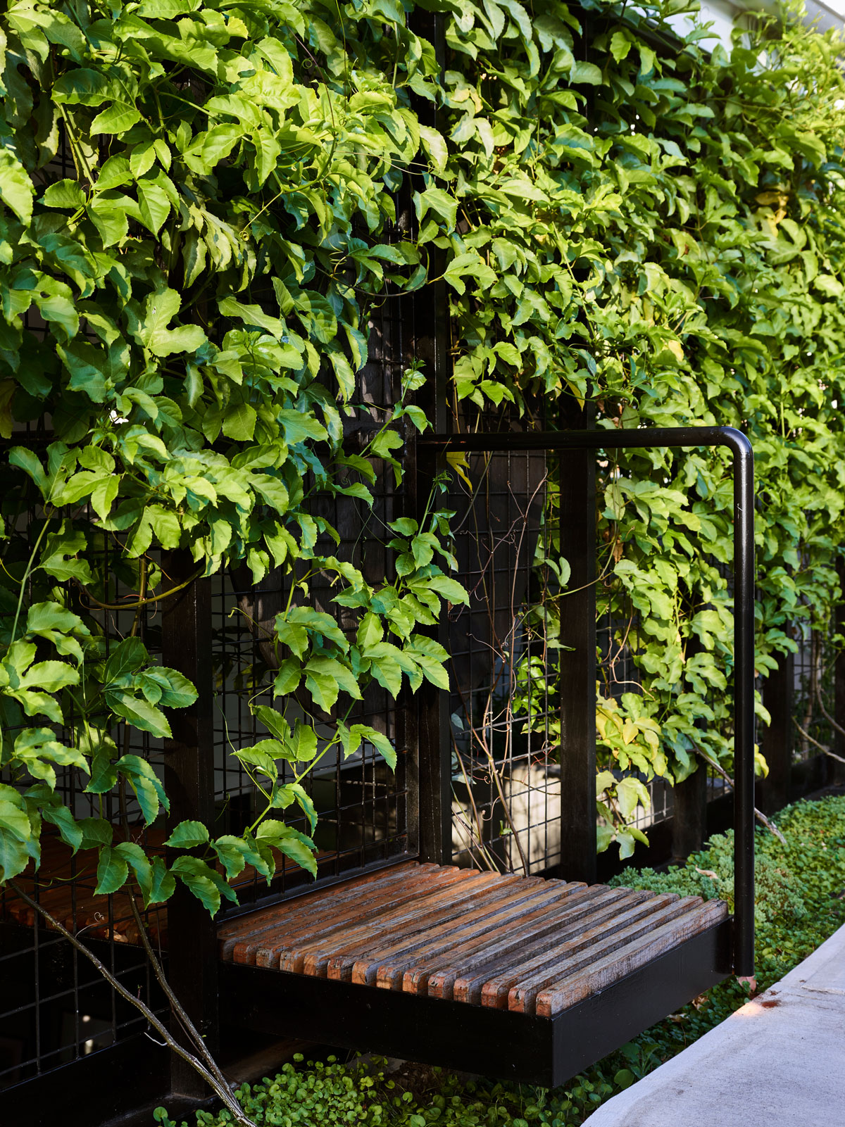 John Ellway's Terrarium House The Local Project And Fisher & Paykel Brisbane, Qld, Australiaje Terrariumhouse Cf057839 Tobyscott