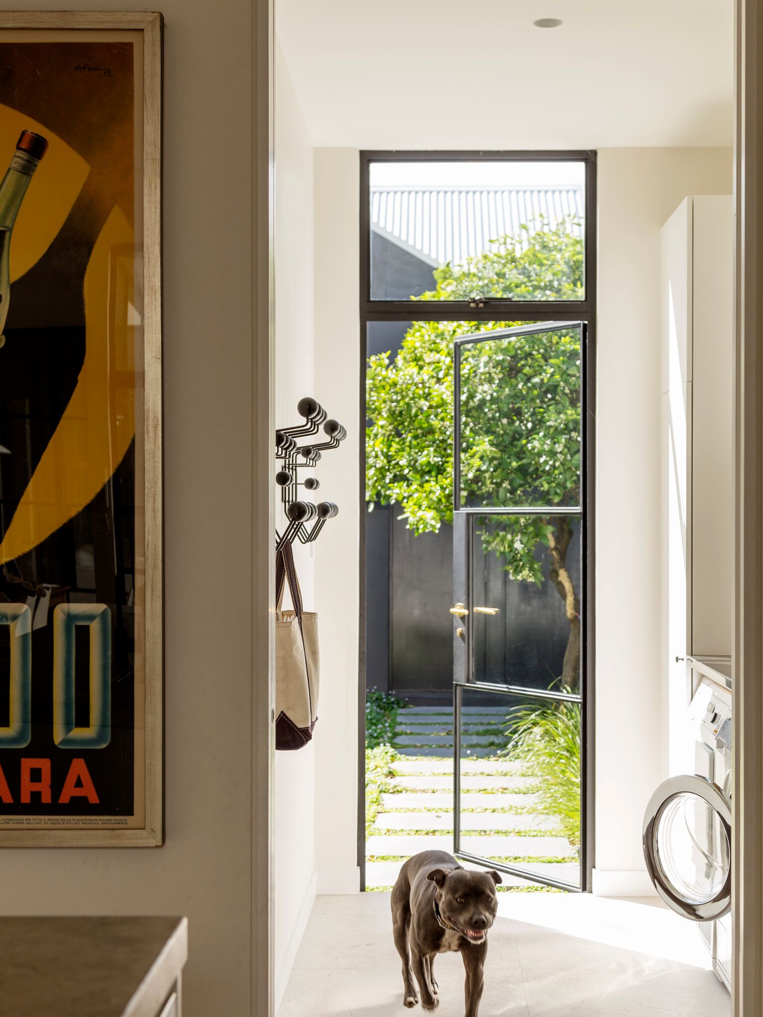 Gallery Of Bondi Road By Anna Carin Design Local Residential Design And Architecture Bondi, Nsw Image 3