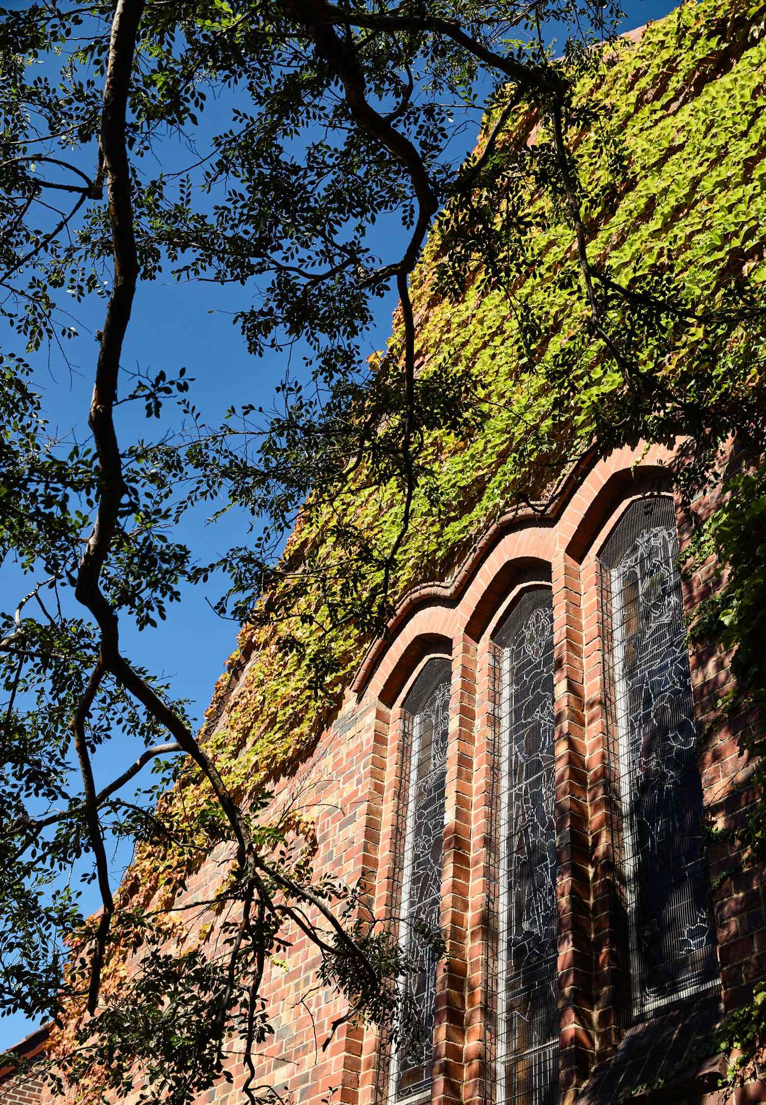 Interior Kitchen The Fisher & Paykel Series Dds Hawthorn, Melbournedoherty Design Kitchen Special Feature The Local Project