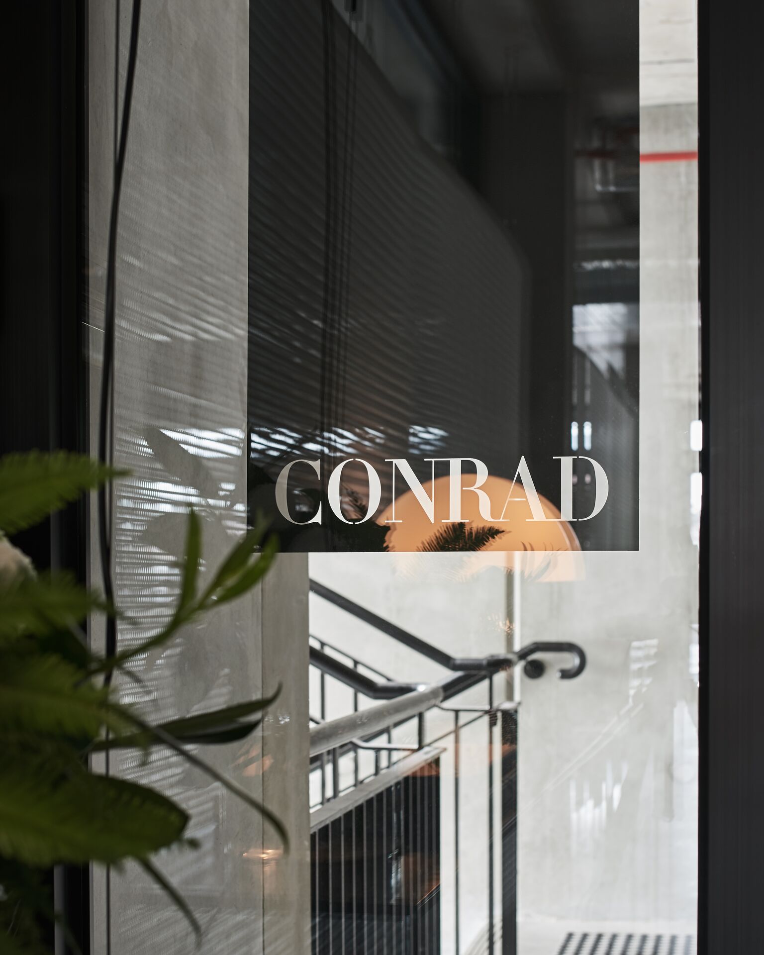 Gallery Of Conrad Architects Local Australian Residential Interior Design Cremorne, Melbourne Image 11