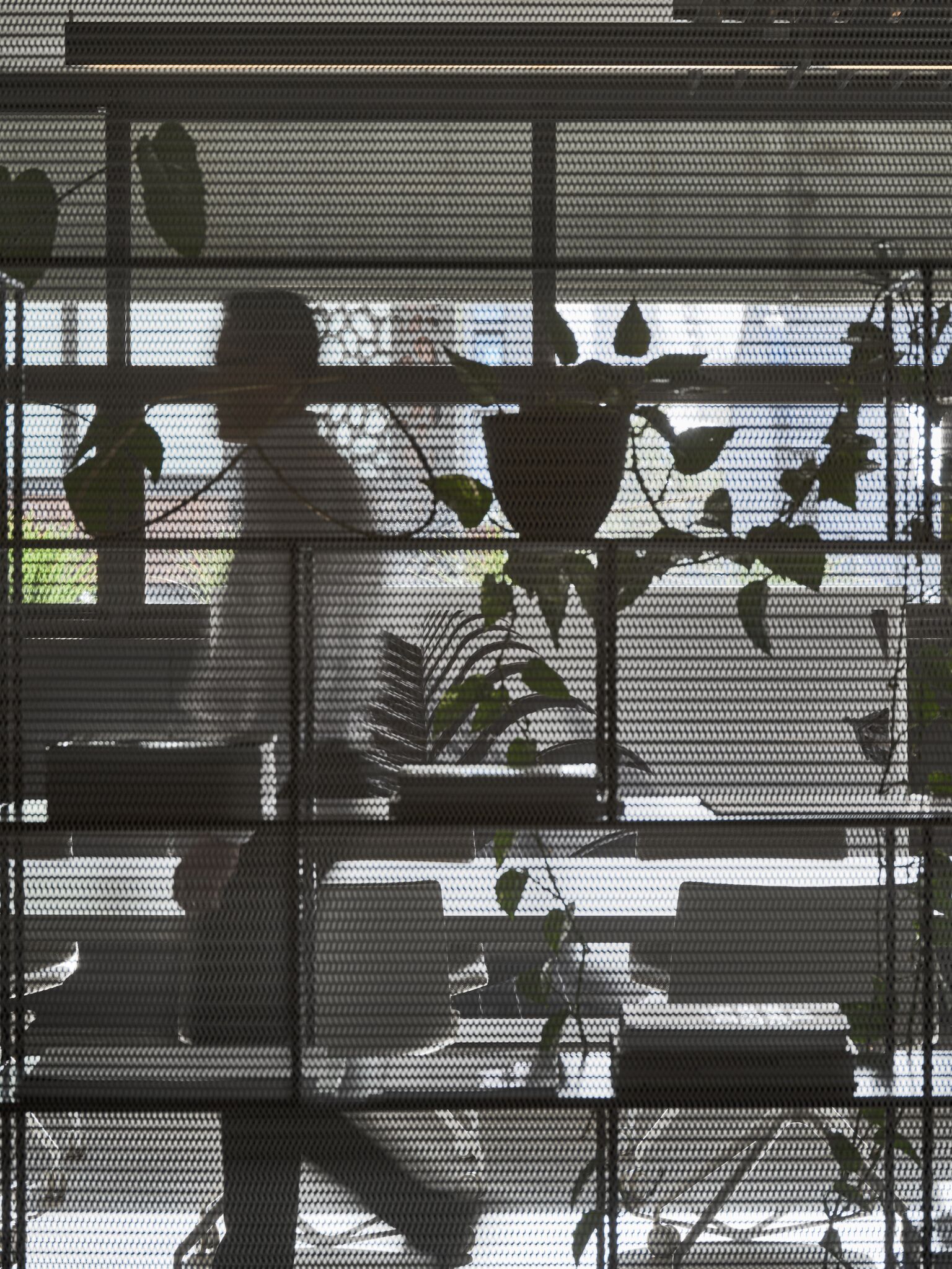 Gallery Of Conrad Architects Local Australian Residential Architecture Cremorne, Melbourne Image 19