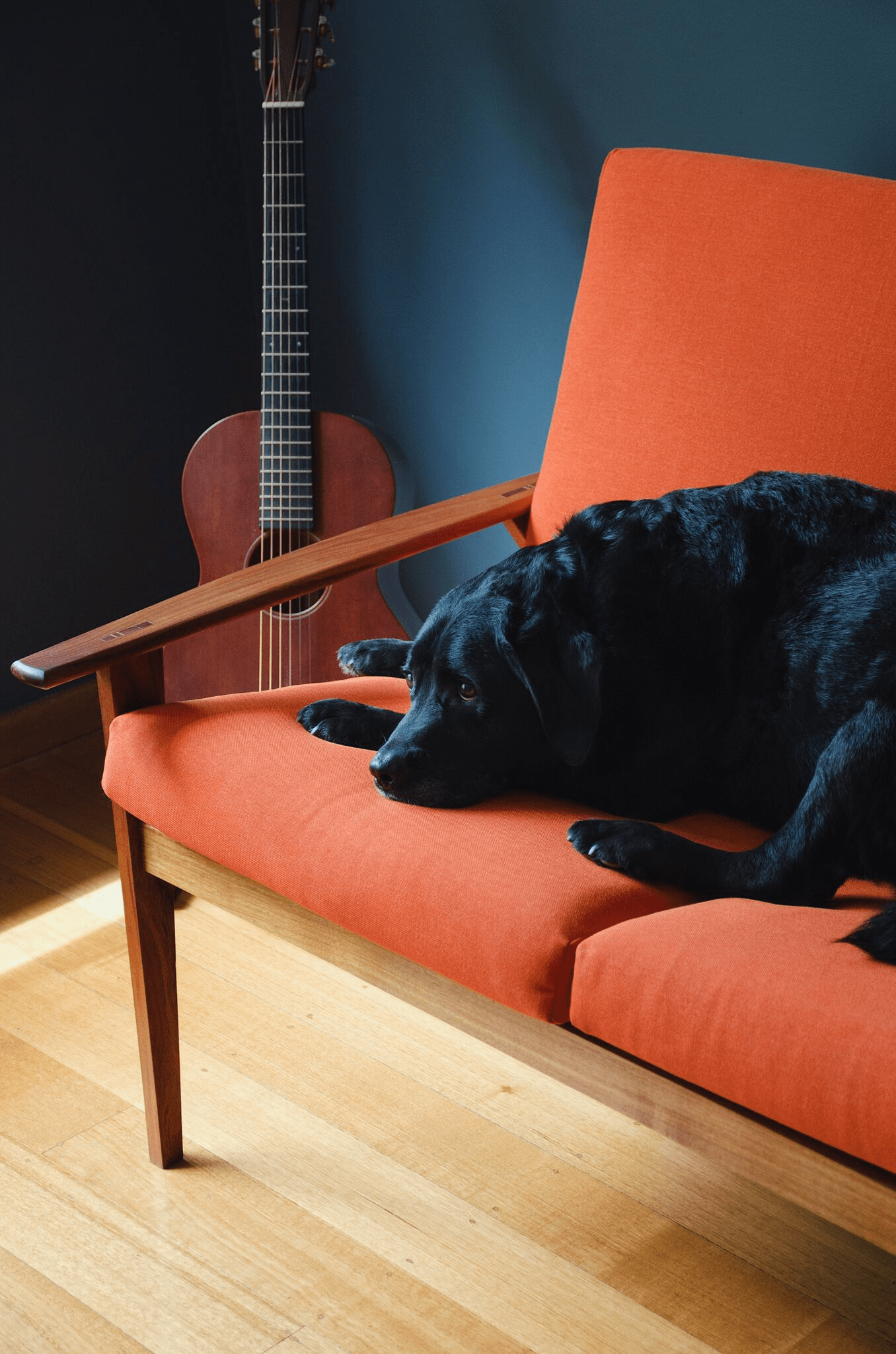 Gallery Of Ross Thompson Furniture Local Australian Furniture Design Geelong, Vic Image 1