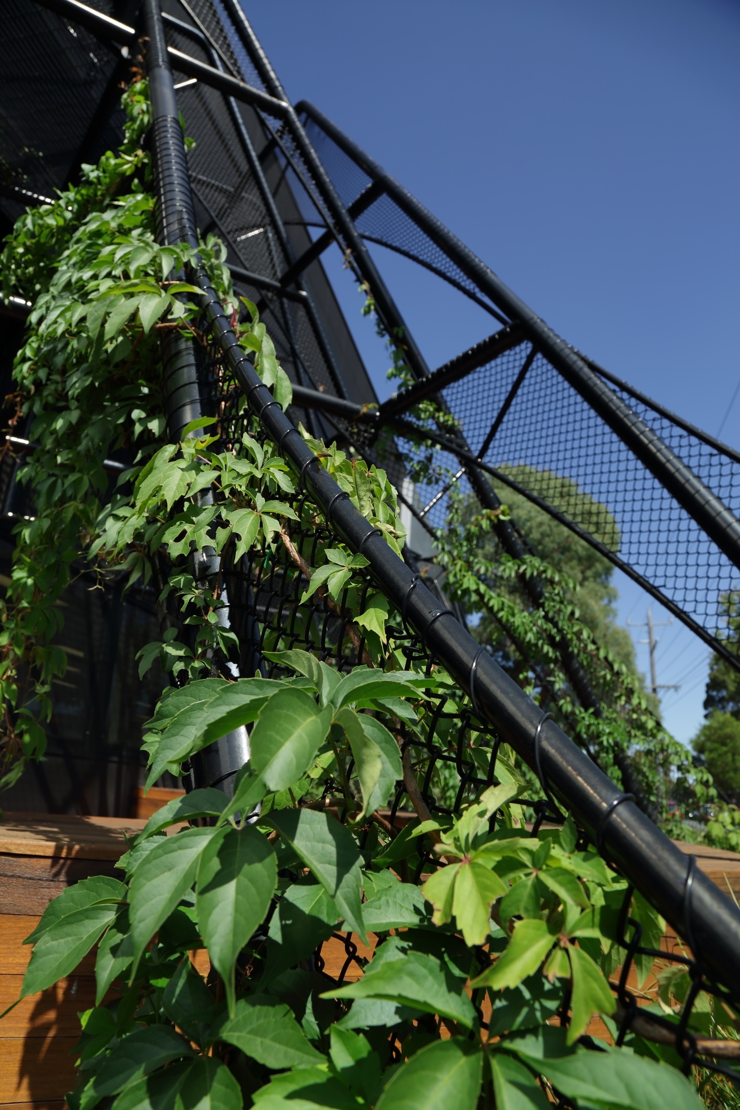 Gallery Of Melrose Health Office And Garden Fitout By Architecture Local Australian Architecture & Design Melbourne, Vic Image 1