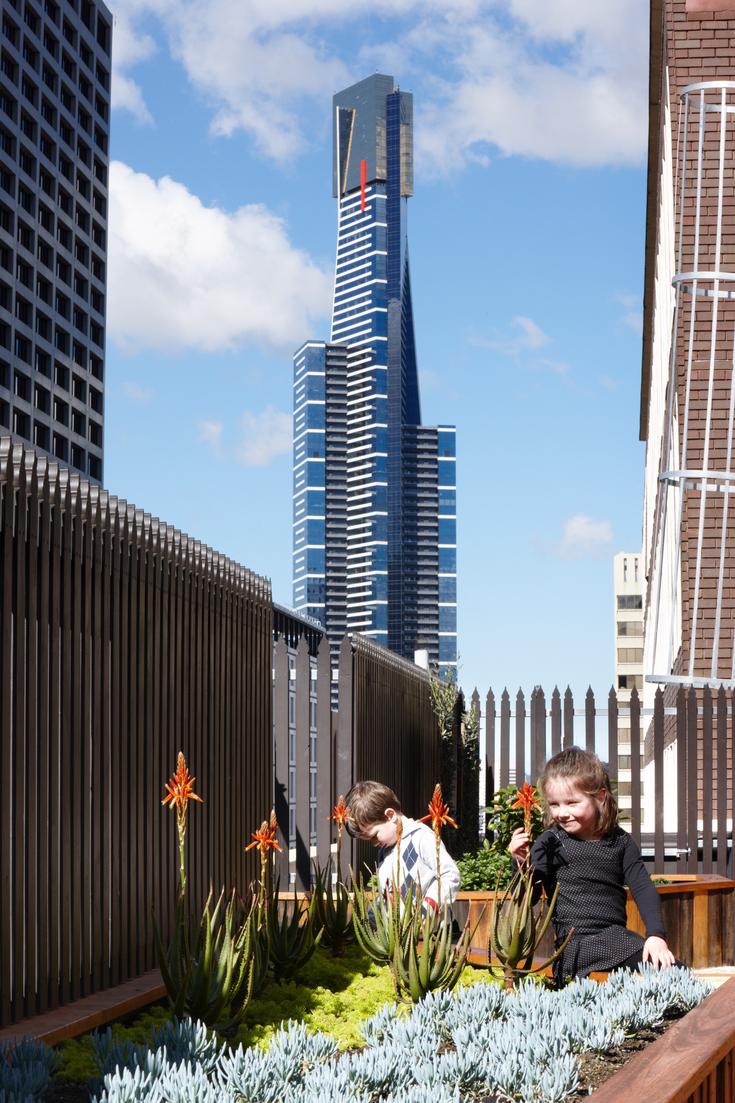 Gallery Of Growing Up Green Rooftop By Bent Architecture Local Australian Architecture & Design Melbourne, Vic Image 5