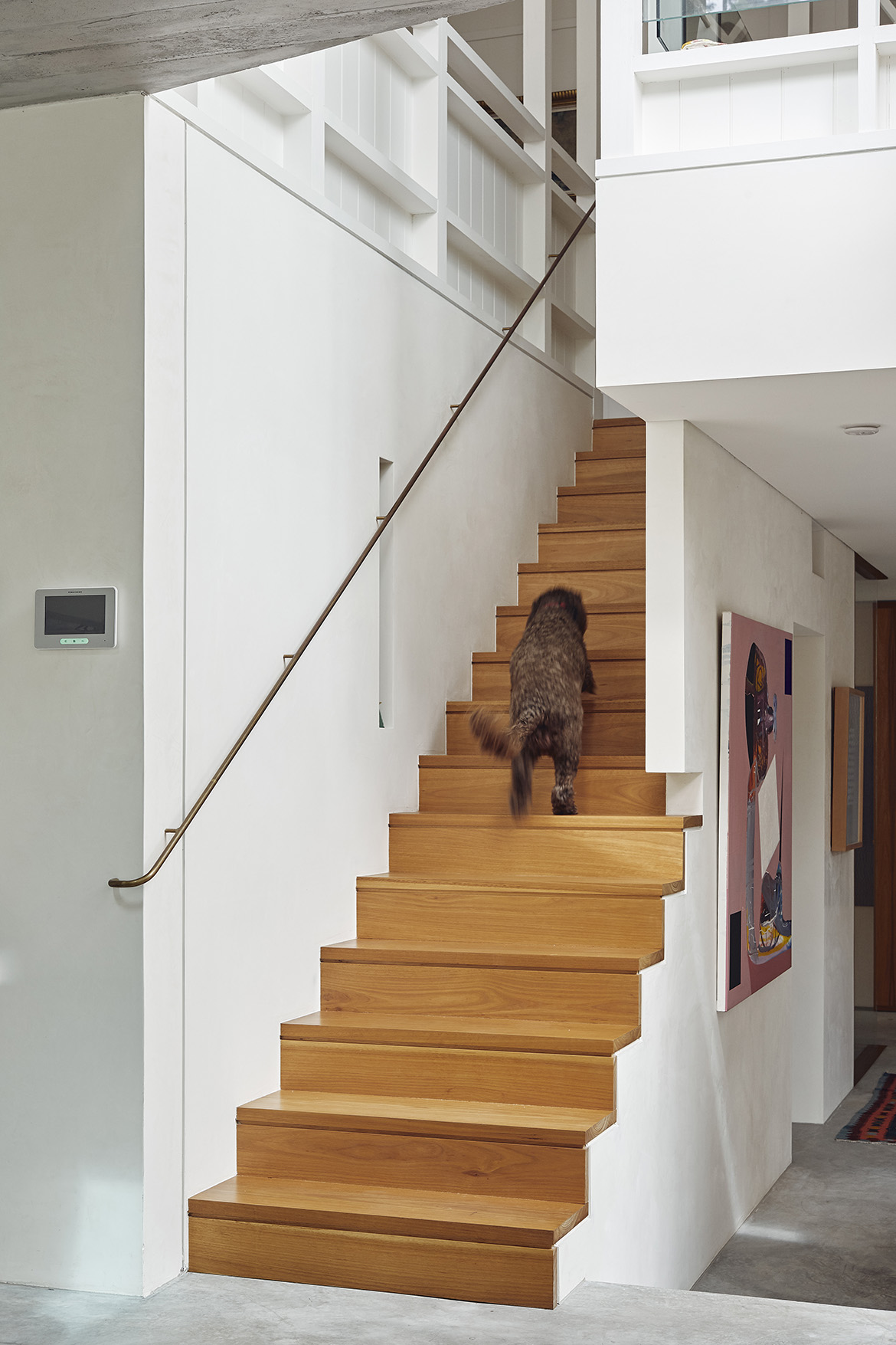 Gallery Of Gibbon St By Cavill Architects Local Australian Design & Landscaping Brisbane, Qld Image 27