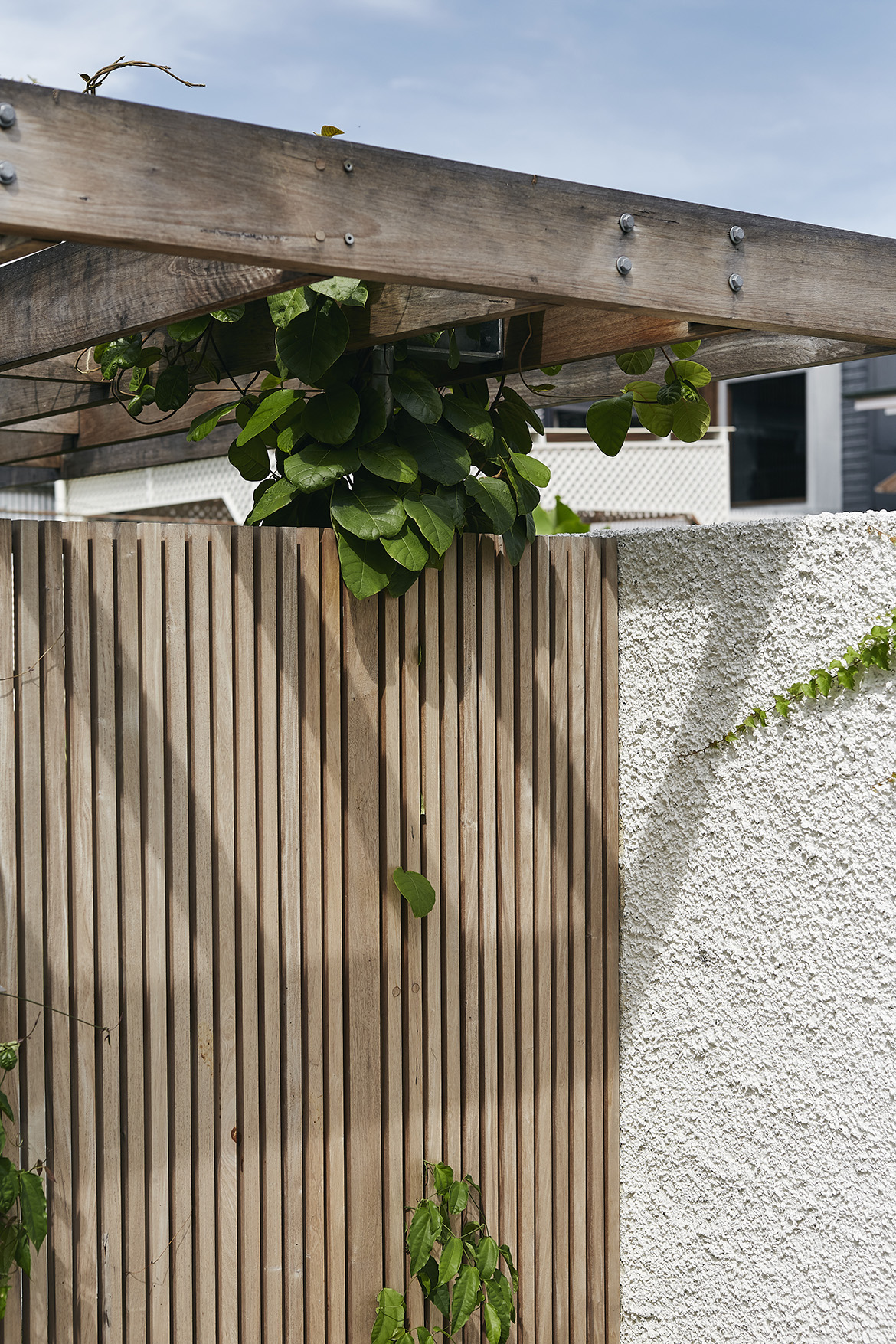 Gallery Of Gibbon St By Cavill Architects Local Australian Award Winning Architecture Brisbane, Qld Image 13