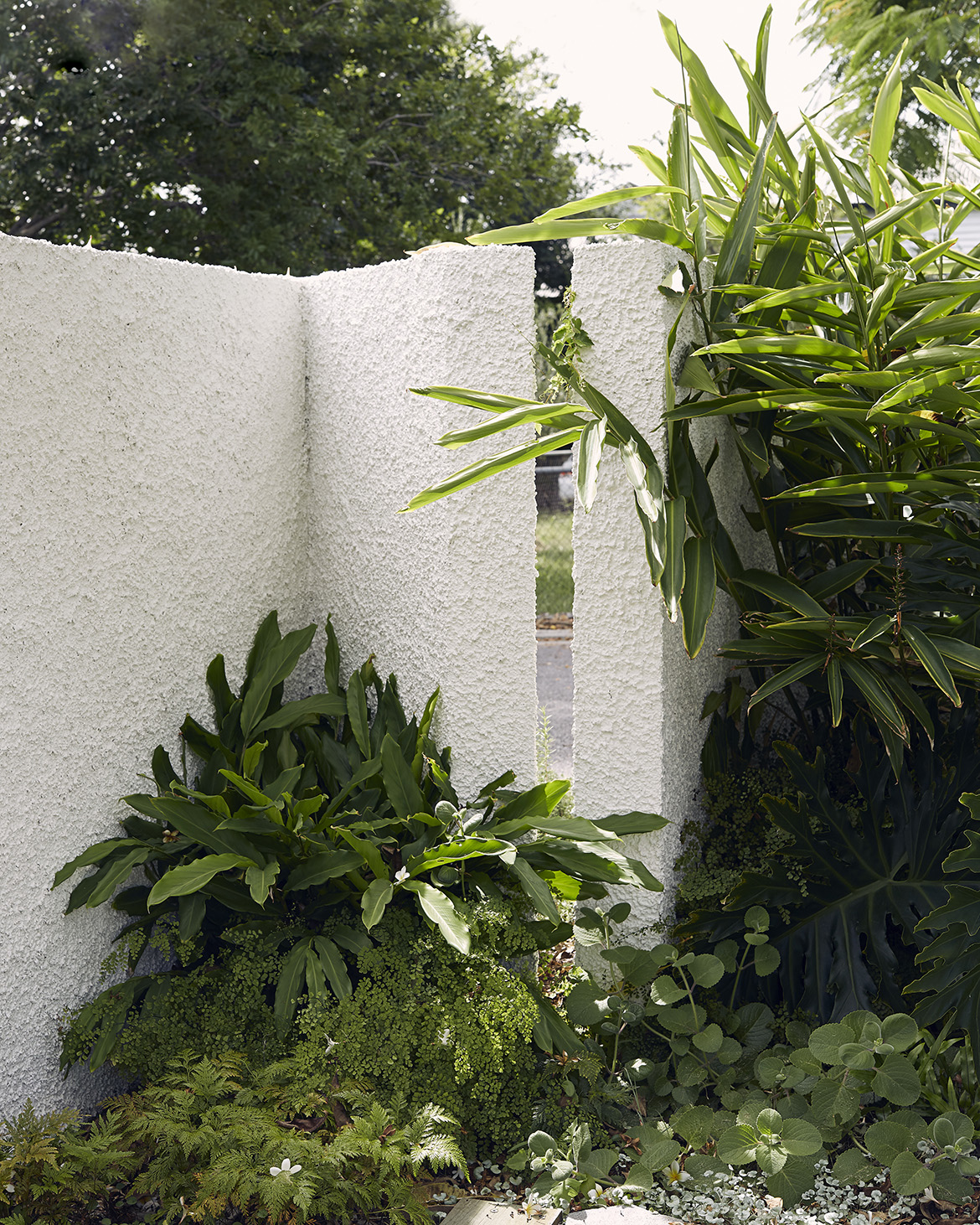 Gallery Of Gibbon St By Cavill Architects Local Australian Architecture & Design Brisbane, Qld Image 4