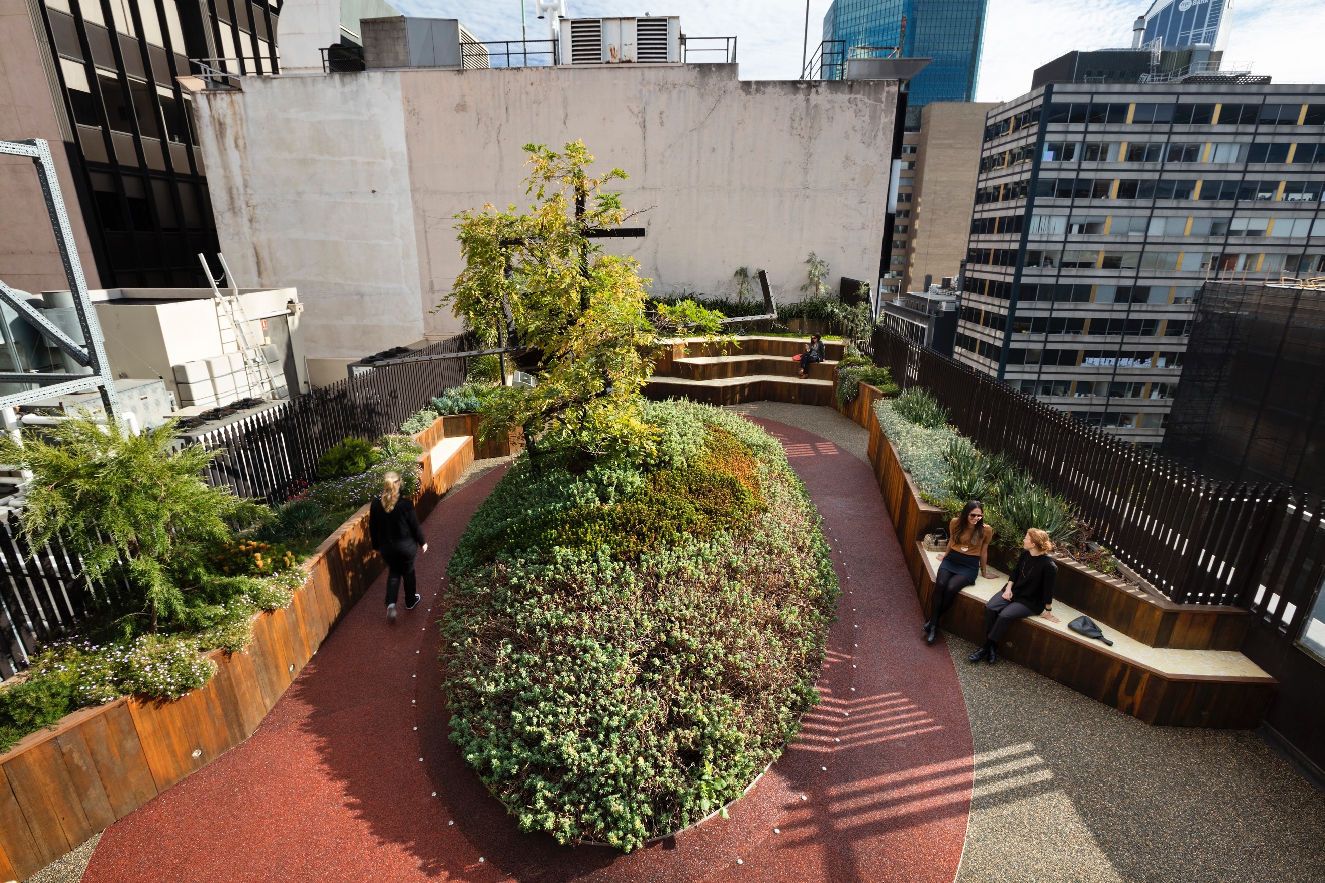 Gallery Of Growing Up Green Rooftop By Bent Architecture Local Australian Architecture & Design Melbourne, Vic Image 3