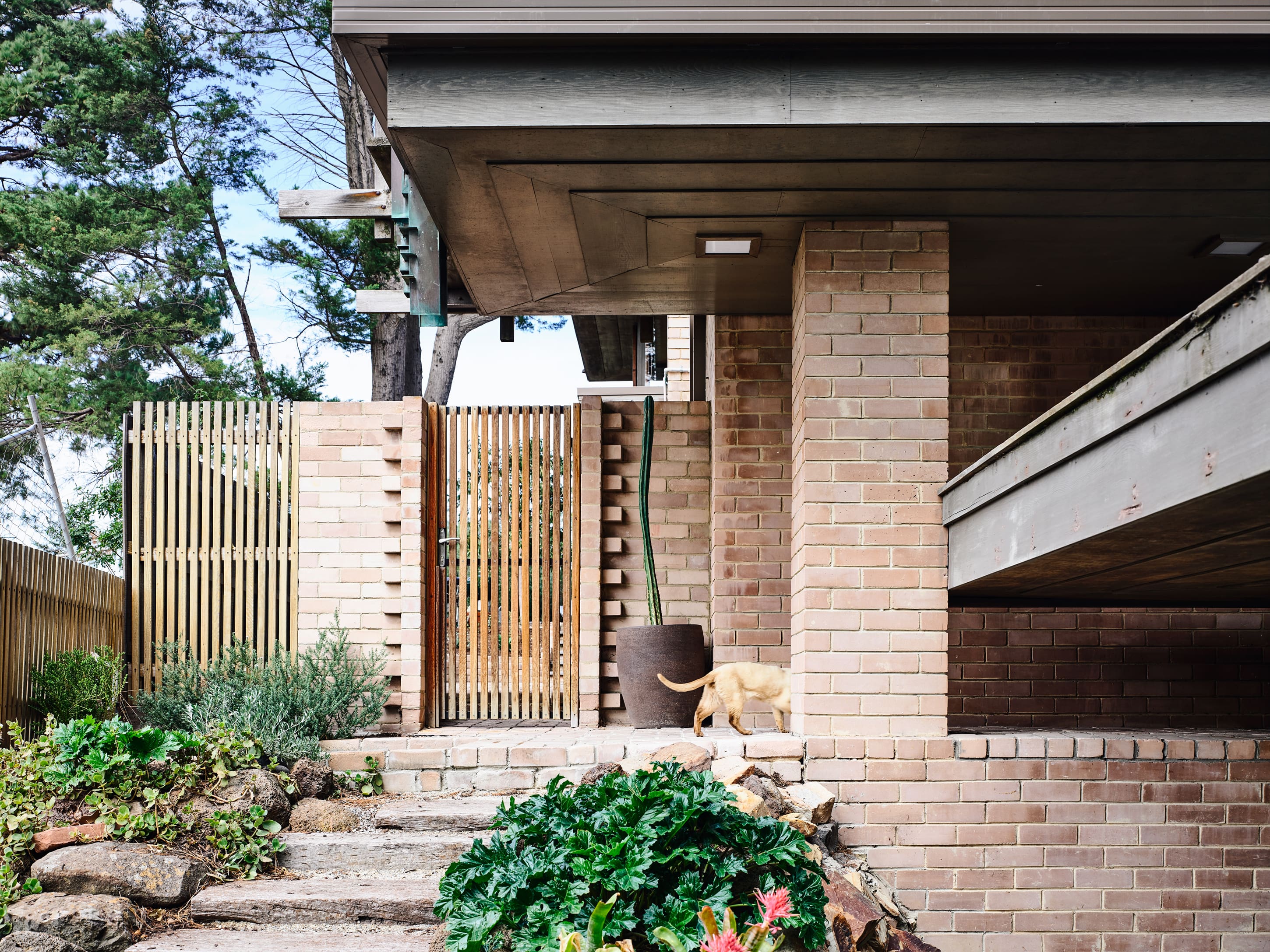 Gallery Of The Godsell House By David Godsell Local Australian Architecture & Design Beaumaris, Vic Image 2