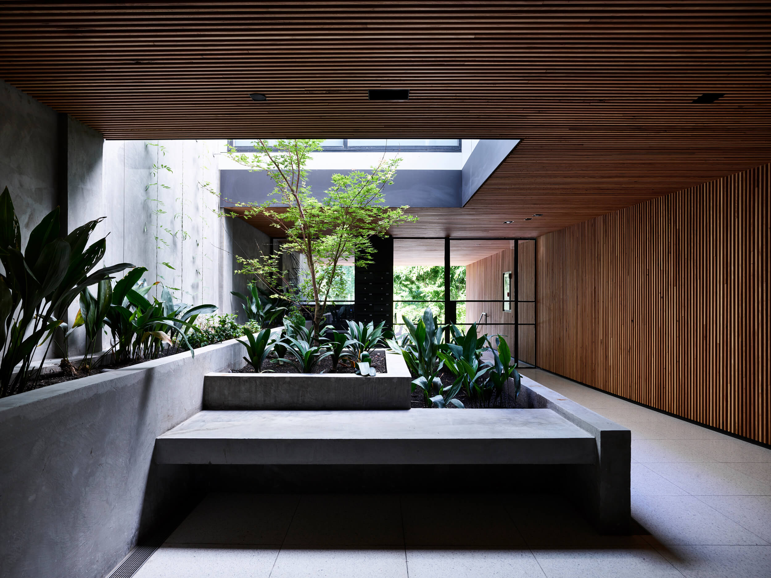 Holly Penthouse By Tom Robertson Architects Project Feature Melbourne, Australia Local Australian Design & Architectureholly R V Derek043