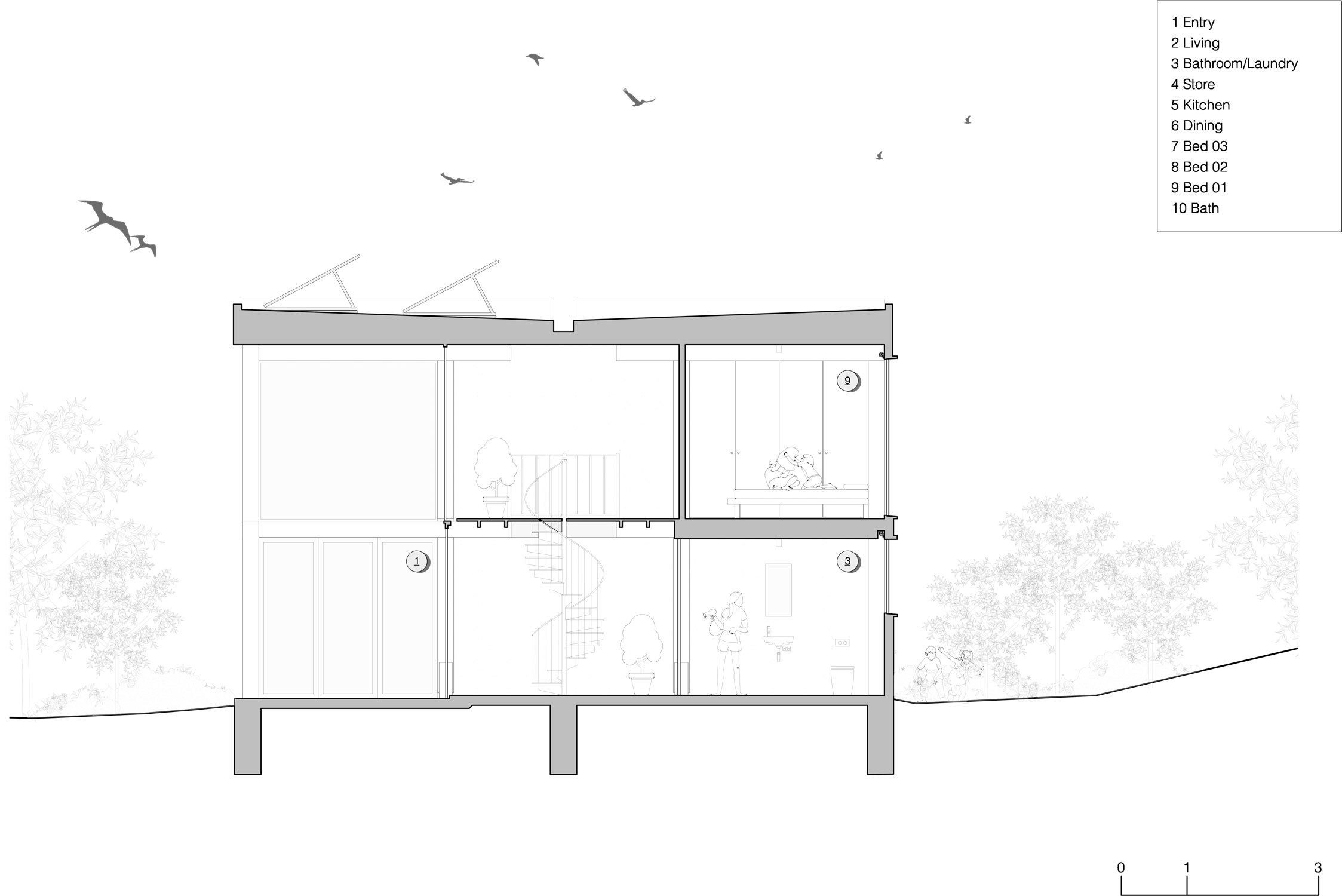 The Robust Vegetation And The Sound Of Crashing Waves