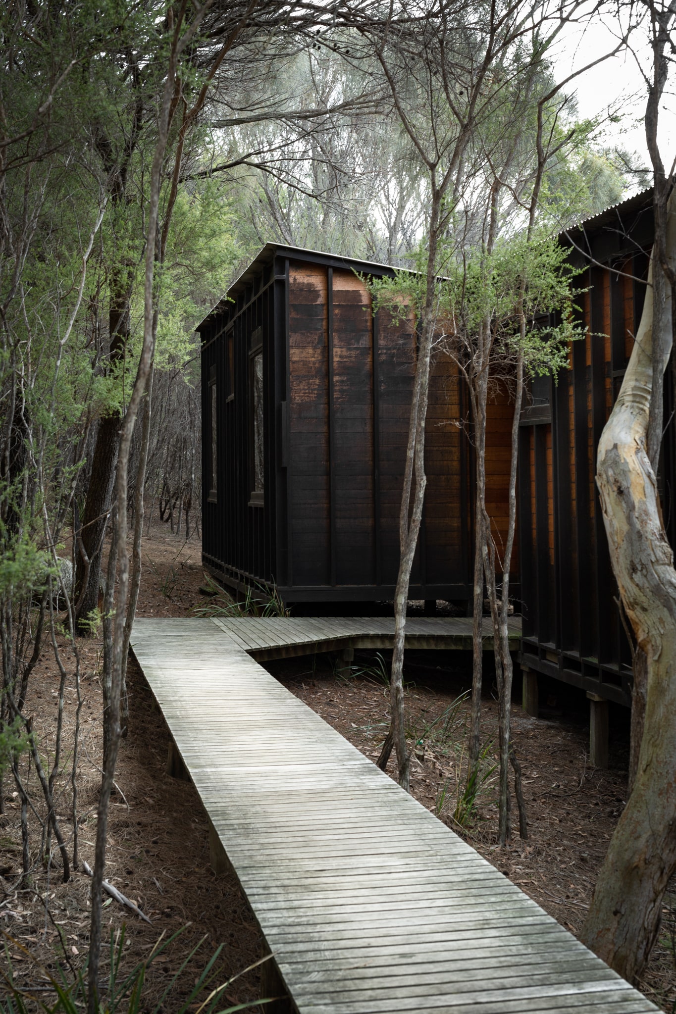 Amongst The Fragrant Native Flora, Friendly Beaches Lodge Humbly Welcomes Hikers From The Trail With A Rustic Warmth And Charm.