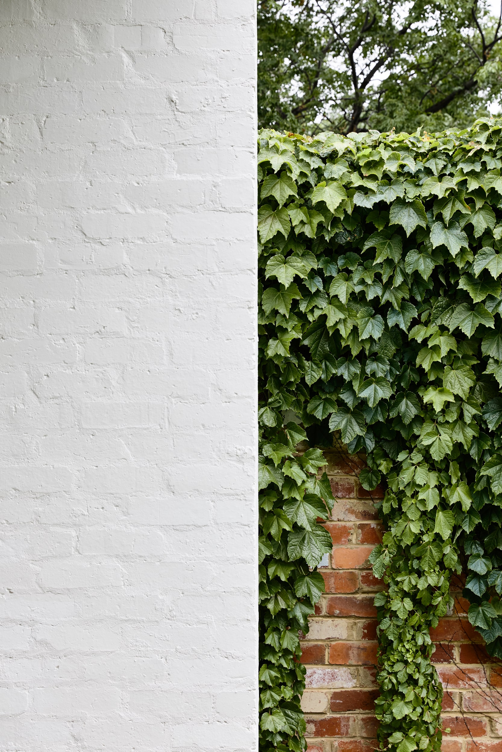 Local Australian Design & Architecture