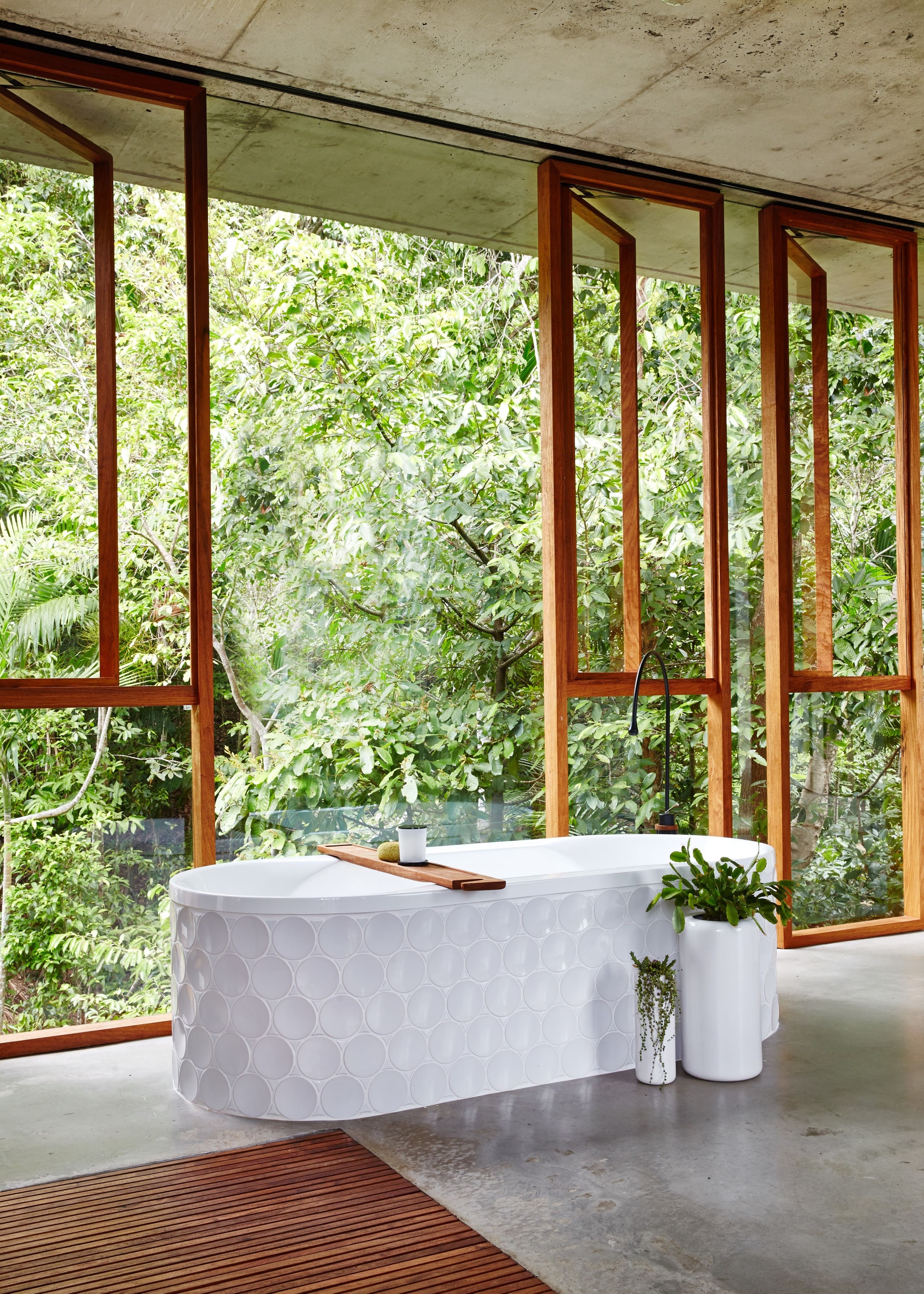 These Observations Led To Many Insights That Helped To Guide The Design Features Of Planchonella House