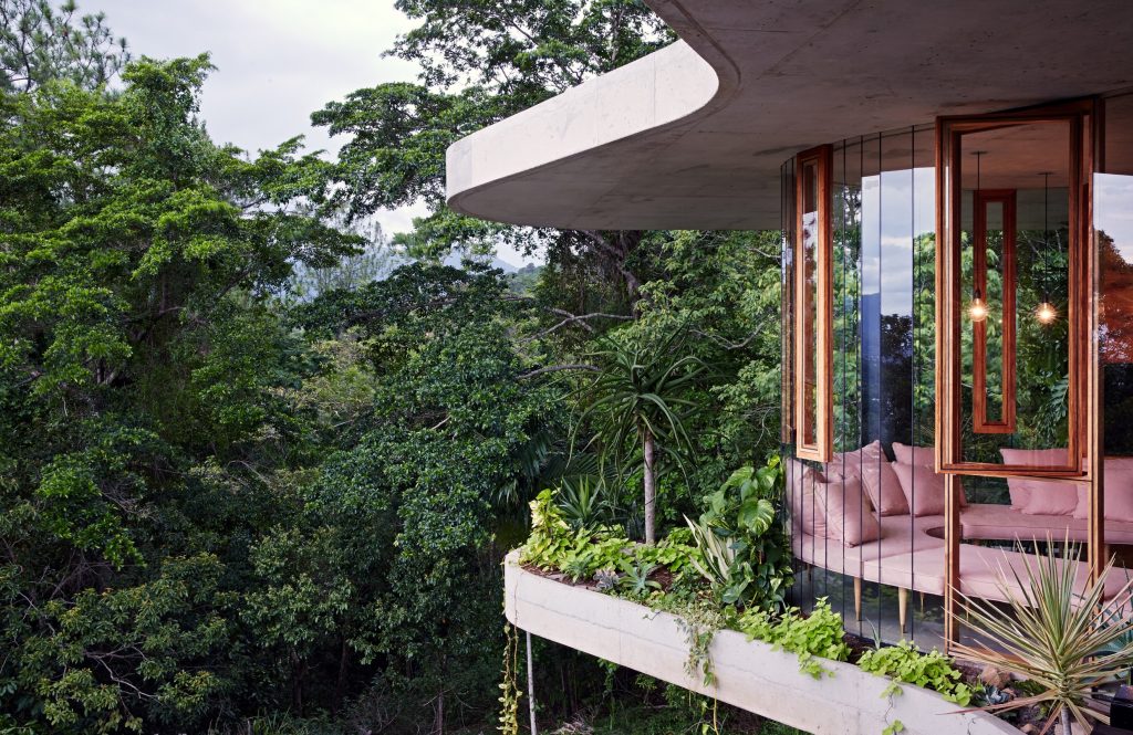 Planchonella House By Jesse Bennett Studio