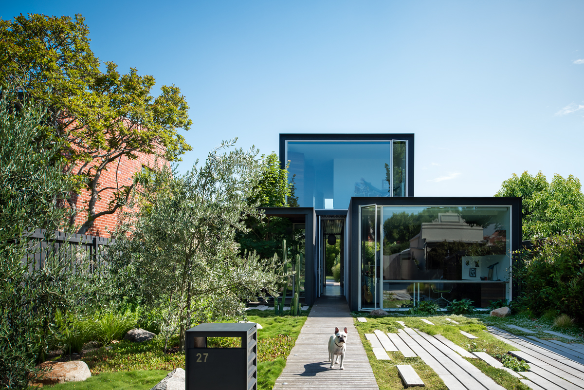 Cookie In His Verdant Brisbane Home By Cavill.