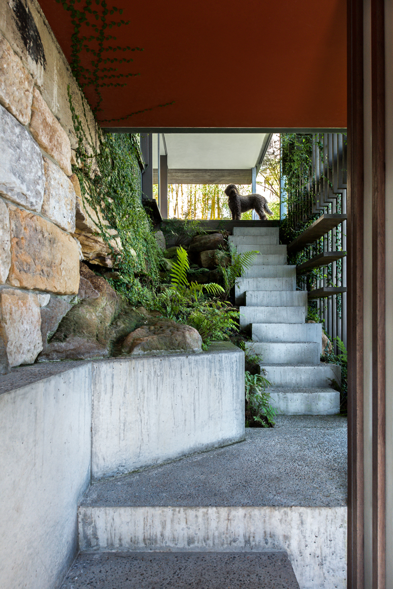 Bruno In His North Melbourne Home Deisgned By Kennedy Nolan.