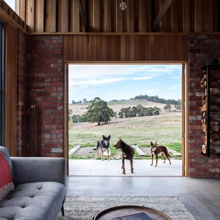 April And Muffy Getting Up To Their Usual Tricks In Their South Yarra Home Designed By Zen.