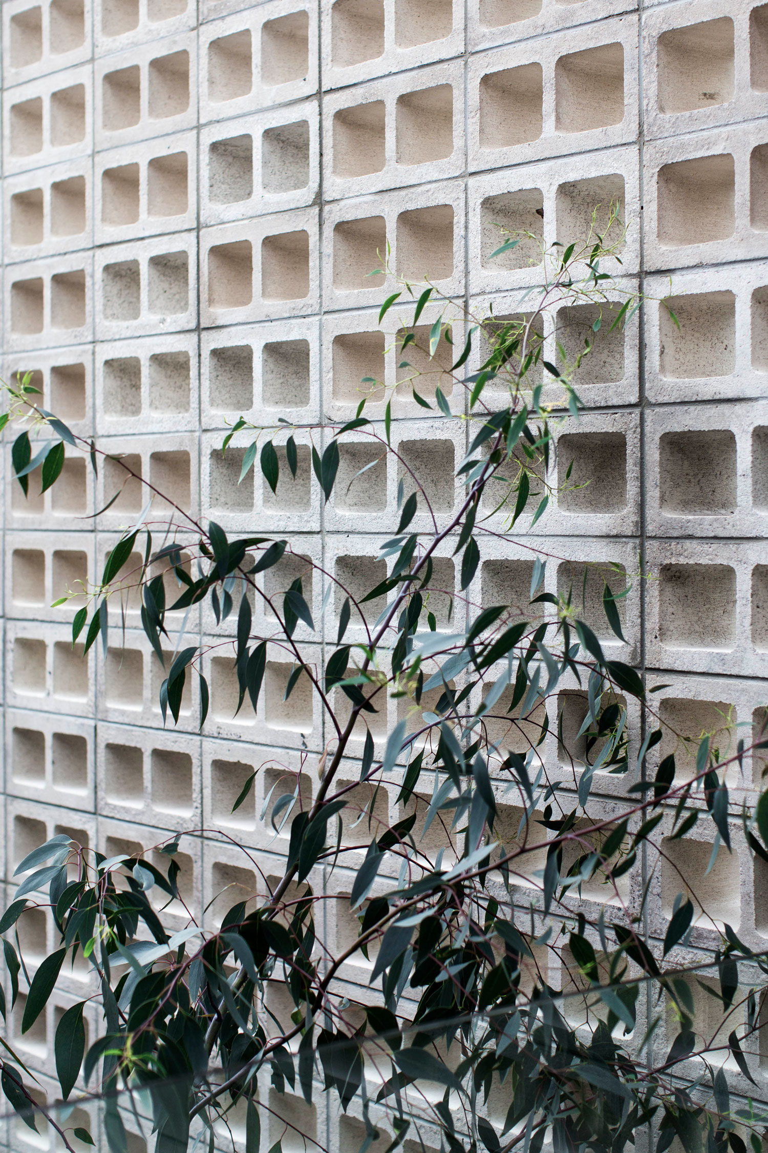 Creating A Datum Line Upon Which The Home Resides