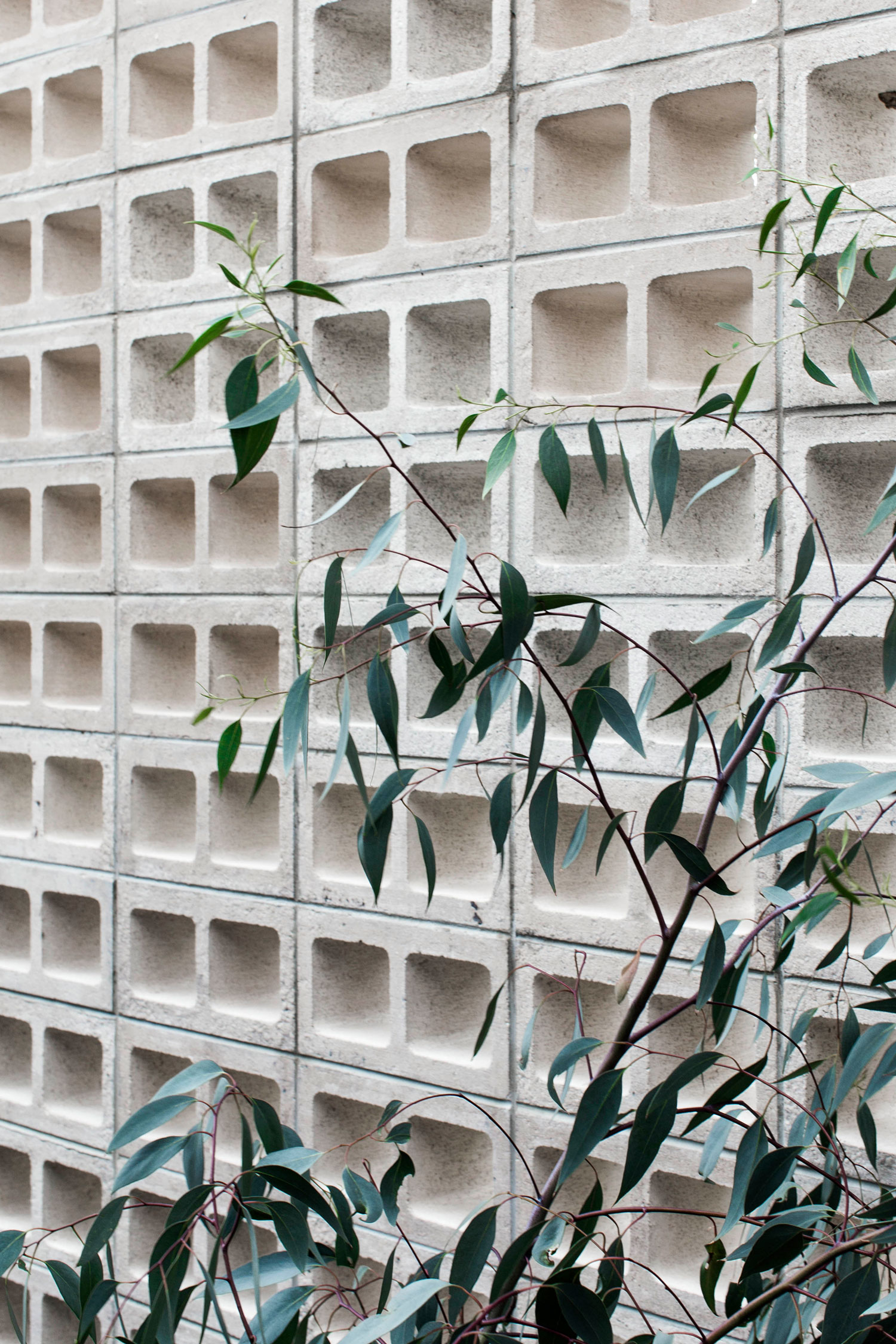 At The Core Of The Australian Occasional Home Is A Purposed Relaxed Ness, Existing In A State Of Semi Permanence.